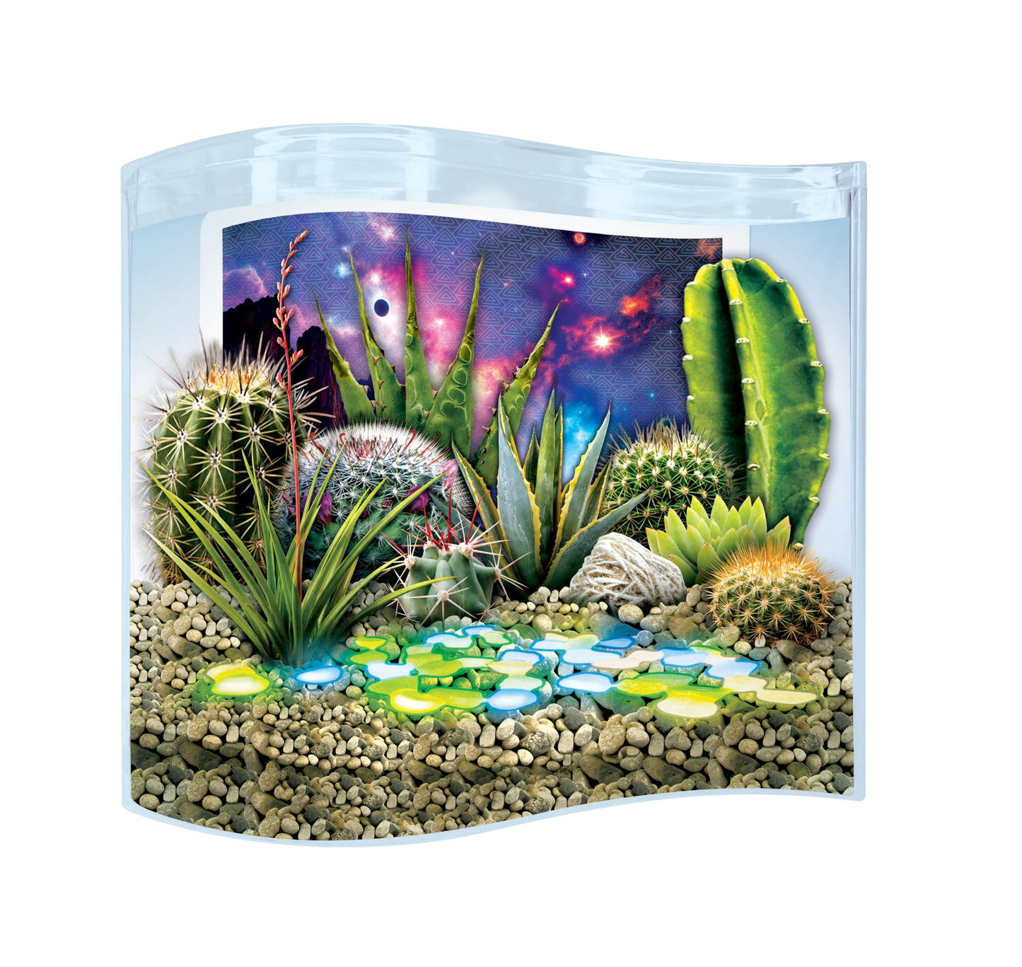 Toys By Nature Galaxy Garden, Wave Terrarium Kit with Live Cactus Plants, Succulents & Alien Egg Stone - Beginner-Friendly Terrariums and Live Indoor Plants Décor