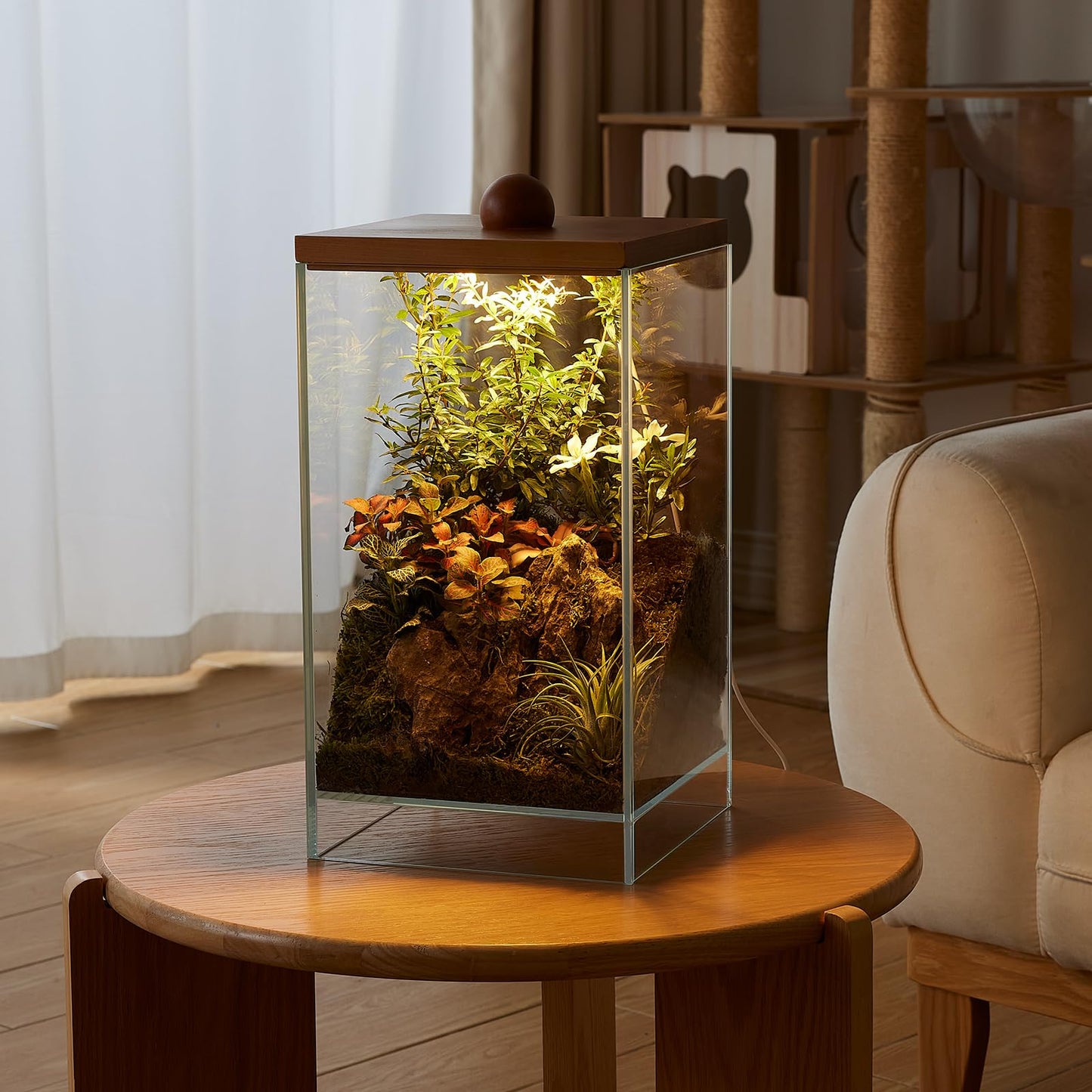 13.7H+7.8W Desktop Glass Plant Terrarium with Light, Large Propagation Station for Succulent, Moss, Miniature Gardening Landscape, Betta Fish Tank