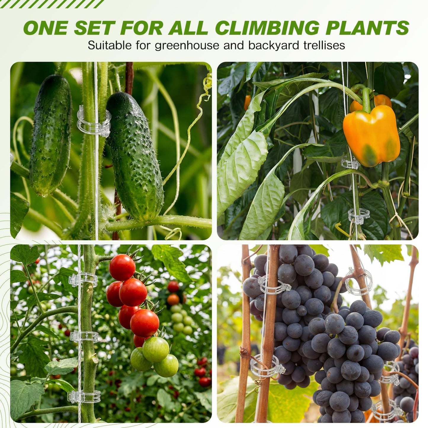 Hushee 100 Pack Tomato Hooks with 200 Garden Clips & 32.8ft String, Tomato Hooks for Climbing Plants, Heavy Duty Plant Support Kit for Greenhouse, Vegetable Plant Fruit Flower