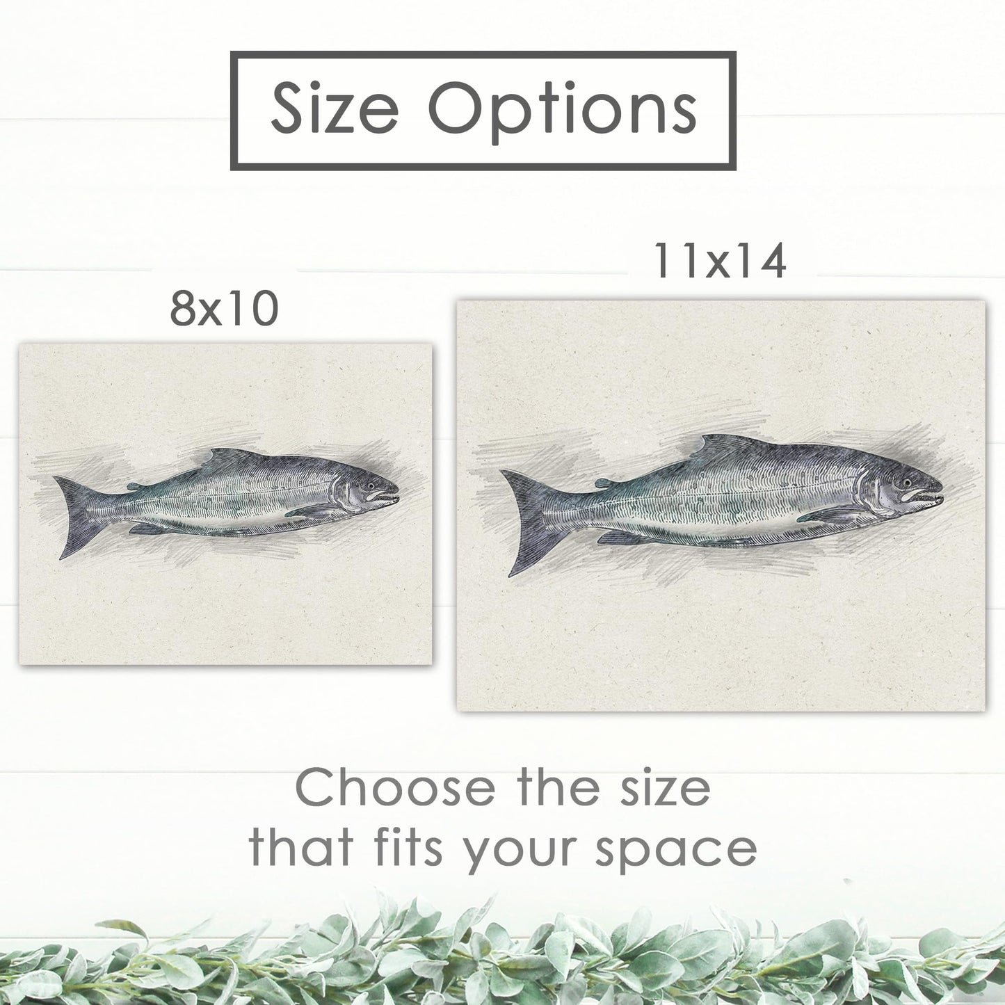 DREAM BIG PRINTABLES Fish Sketches Art Prints (Set of 6) - Unframed - 8x10 | Fishing Wall Decor for Fisherman
