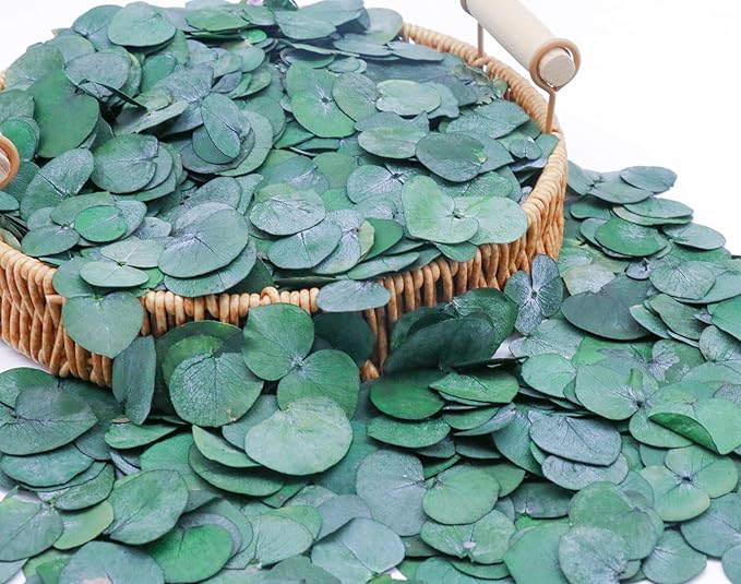 3200Preserved Real Eucalyptus Leaves Small, Pure Natural Bulk Eucalyptus, Biodegradable Wedding Leaves Confetti for Anniversaries, Birthday, Graduation, Bridal Showers, Party Decor