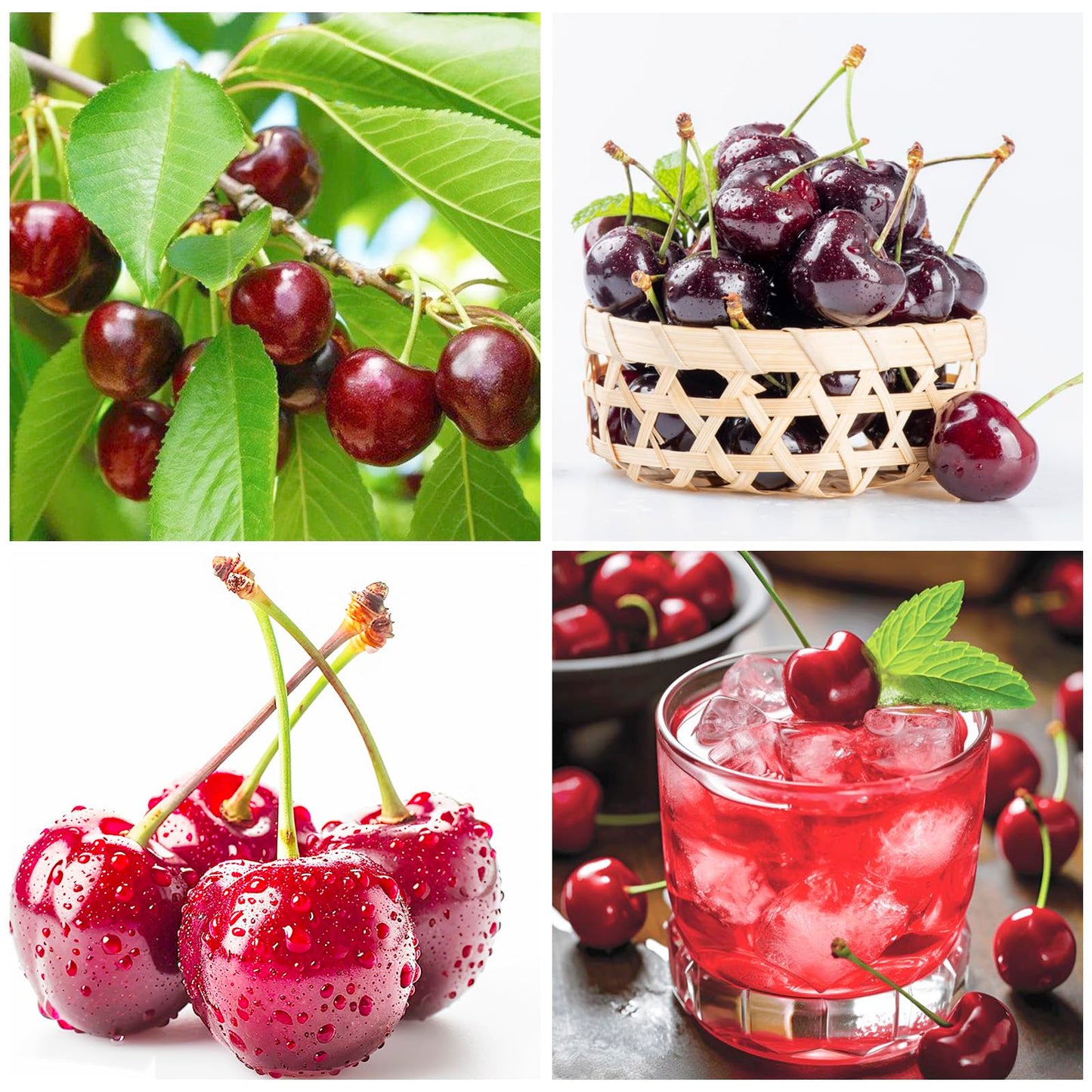 19Pcs Cherry Fruit Tree Seeds for Planting - Non-GMO Heirloom Fruit Tree Seeds, Sweet & Juicy Fruits
