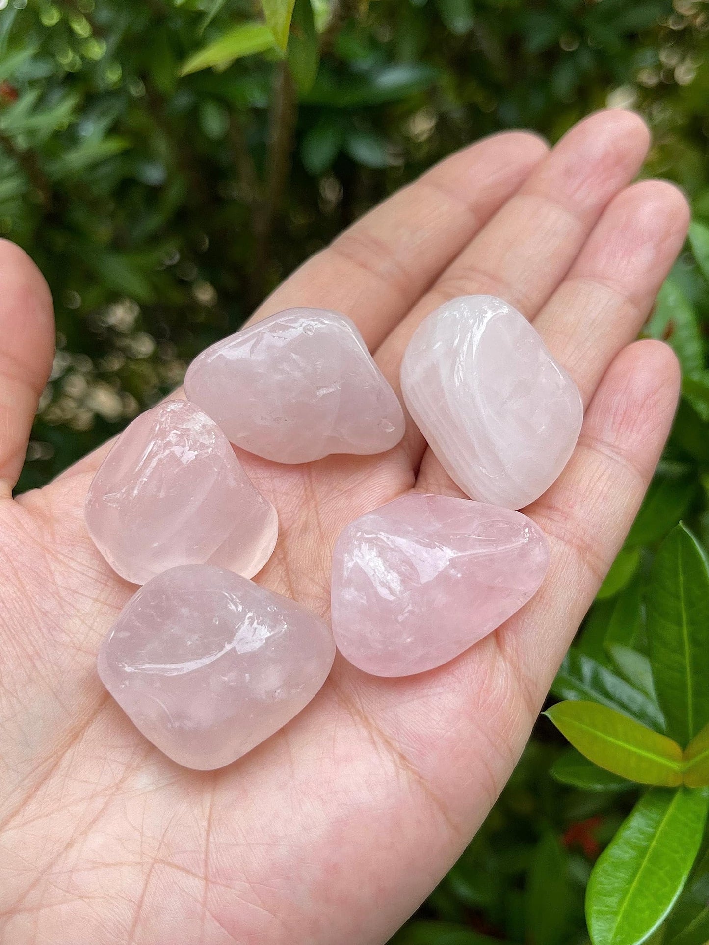 GAF TREASURES 5 Pcs Tumbled Rose Quartz Stones, Polished Quartz Healing Crystals
