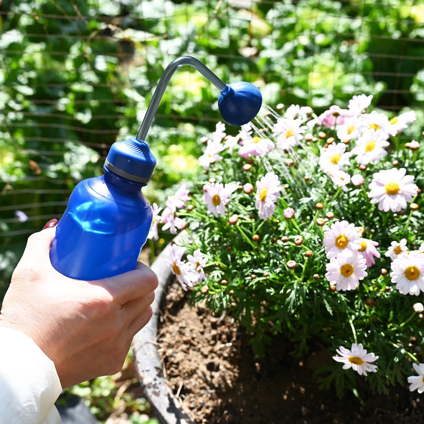 Watering Can for Seedlings, Small Watering Can for House Plant Garden Flower 15oz/0.45l (Blue)