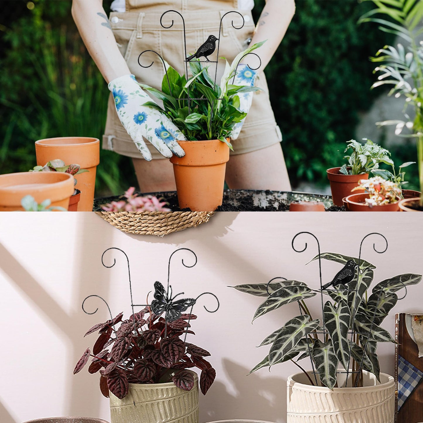 LONCHDAN Indoor Plant Trellis for Climbing Plants Indoor Trellis Indoor Metal Trellis 4 Pack for Garden Plants Support Small House Plant Trellis for Vines, Flower