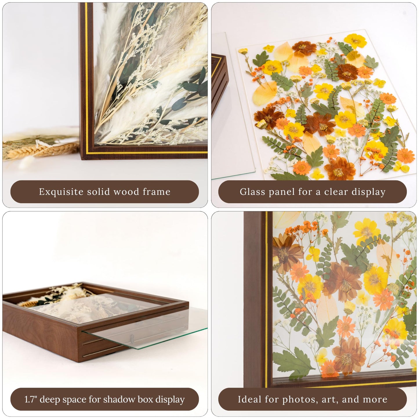 Pressed Flower Frame – Durable Dual Panel Design Glass Frame for Pressed Flowers – 11x14 Extra Large Easy-to-Use Gift Dried Flower Arrangements – Portrait or Landscape Floating Frames for Versatile Decor