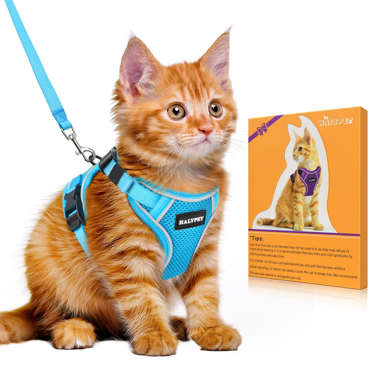 Cat Harness and Leash Set,Escape Proof Kitten Harness,Orange