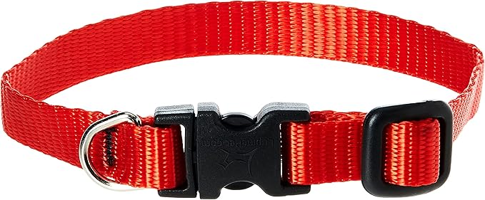 LupinePet Basics 1/2" Purple 10-16" Adjustable Collar for Small Dogs