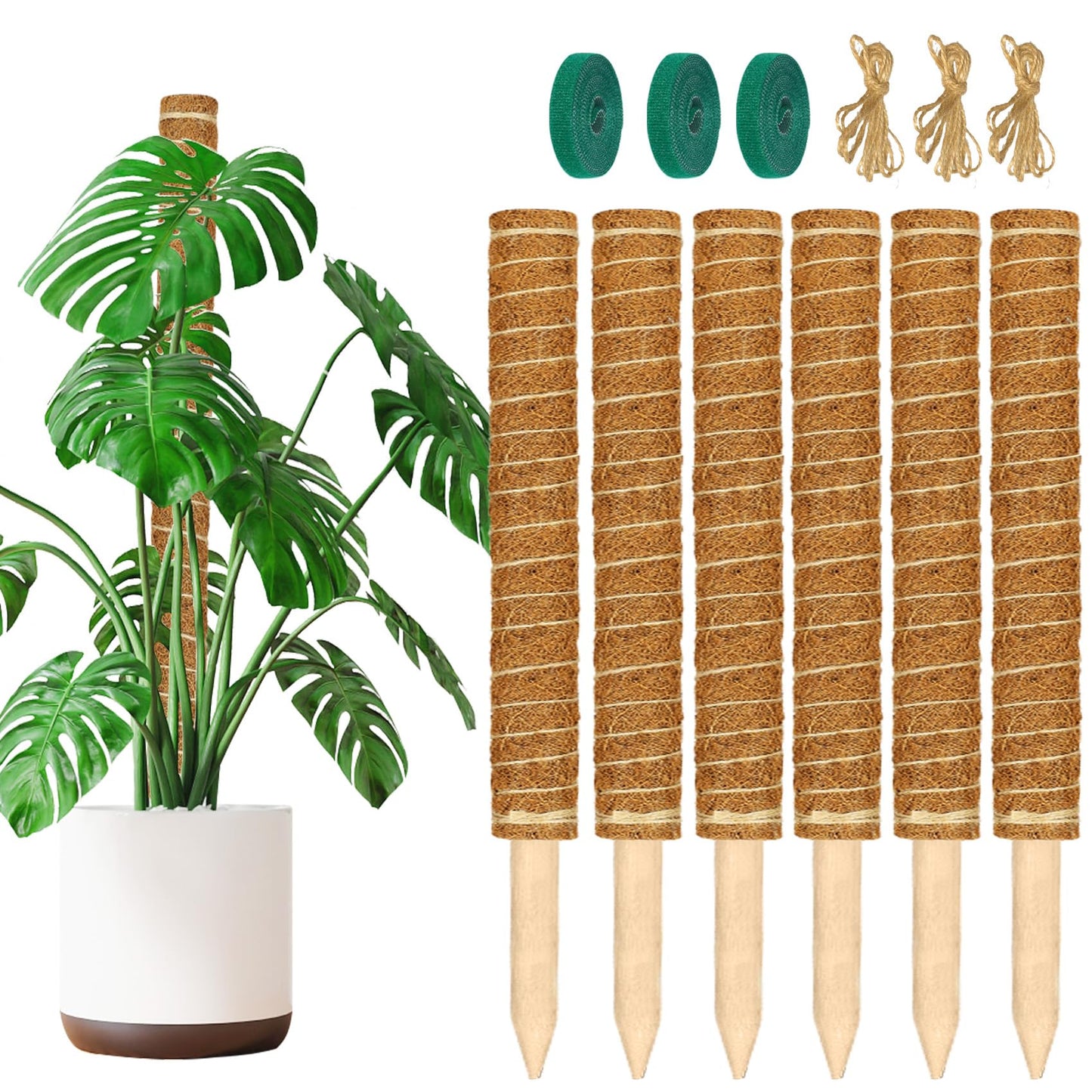 ALENEY Moss Pole, 6 Pack 17inch Monstera Plant Support Stackable Moss Poles for Plants, Coir Totem Pole Tall Moss Pole for Climbing Plants, Sphagnum, Indoor Potted Plants