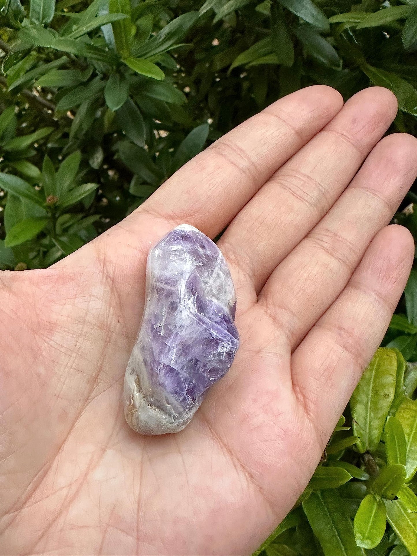 GAF TREASURES 5 Pcs Chevron Amethyst Tumbled Stones, Polished Chevron Amethyst Gemstone, Chevron Amethyst Healing Crystals (Chevron Amethyst)