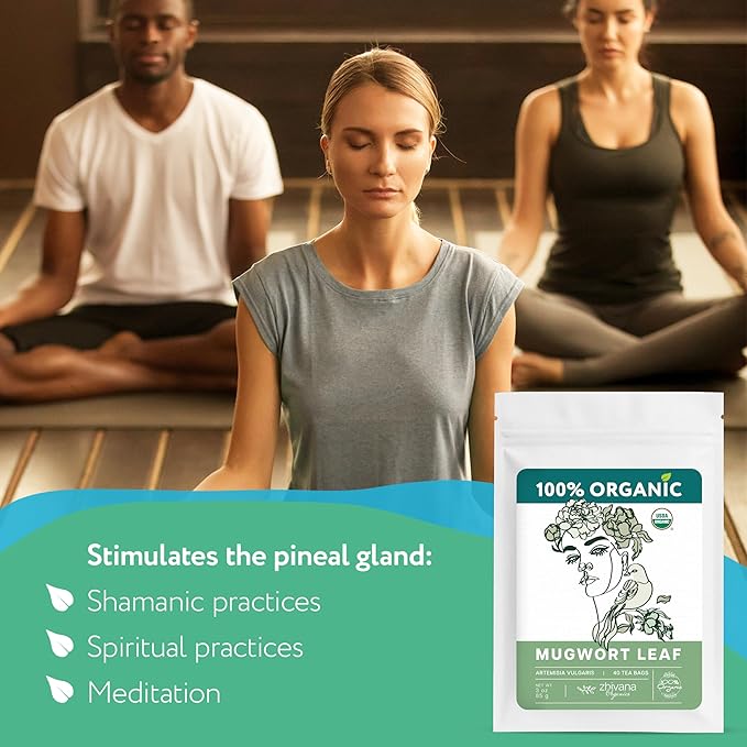 Organic Mugwort Tea (40 Tea Bags) – Mugwart Tea for Digestive Health, Liver, Women Cycle, Relaxation (Artemisia Vulgaris) - Te de Artemisa