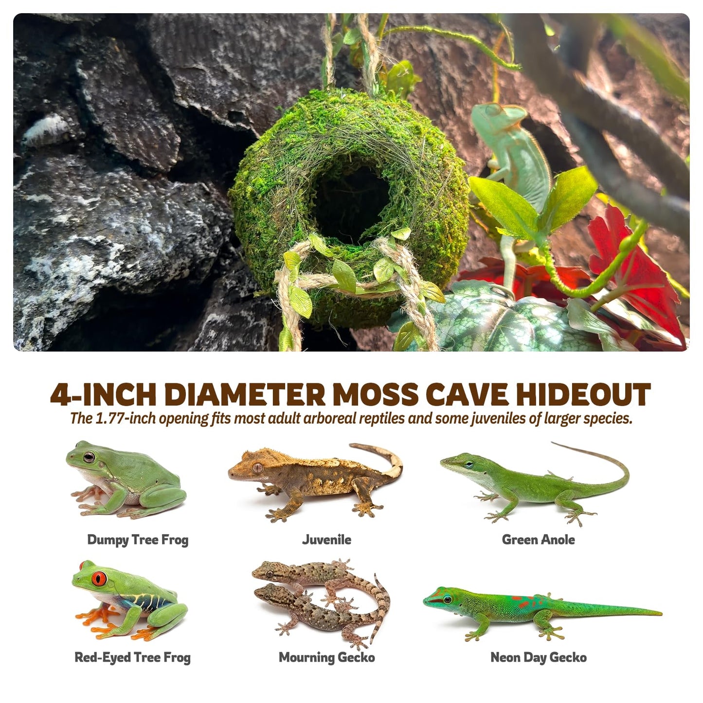 Moss Cave Hideout with Hanging Rope & Hemp Climbing Ladder – Natural Reptile Tank Decor Accessories for Crested Geckos, Chameleons, Tree Frogs, Leopard Geckos & Snakes. Terrarium & Vivarium Decor (4")