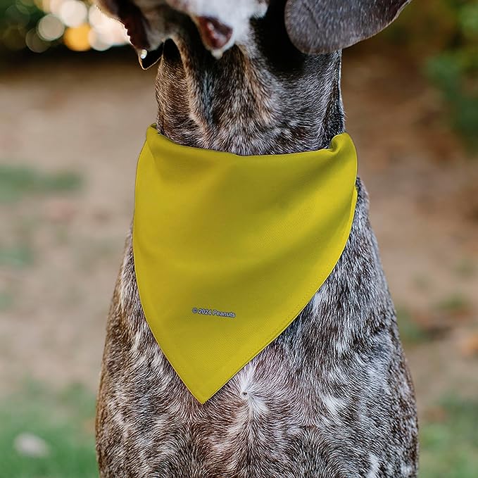 Peanuts Pet Bandana Slide On Slip Through