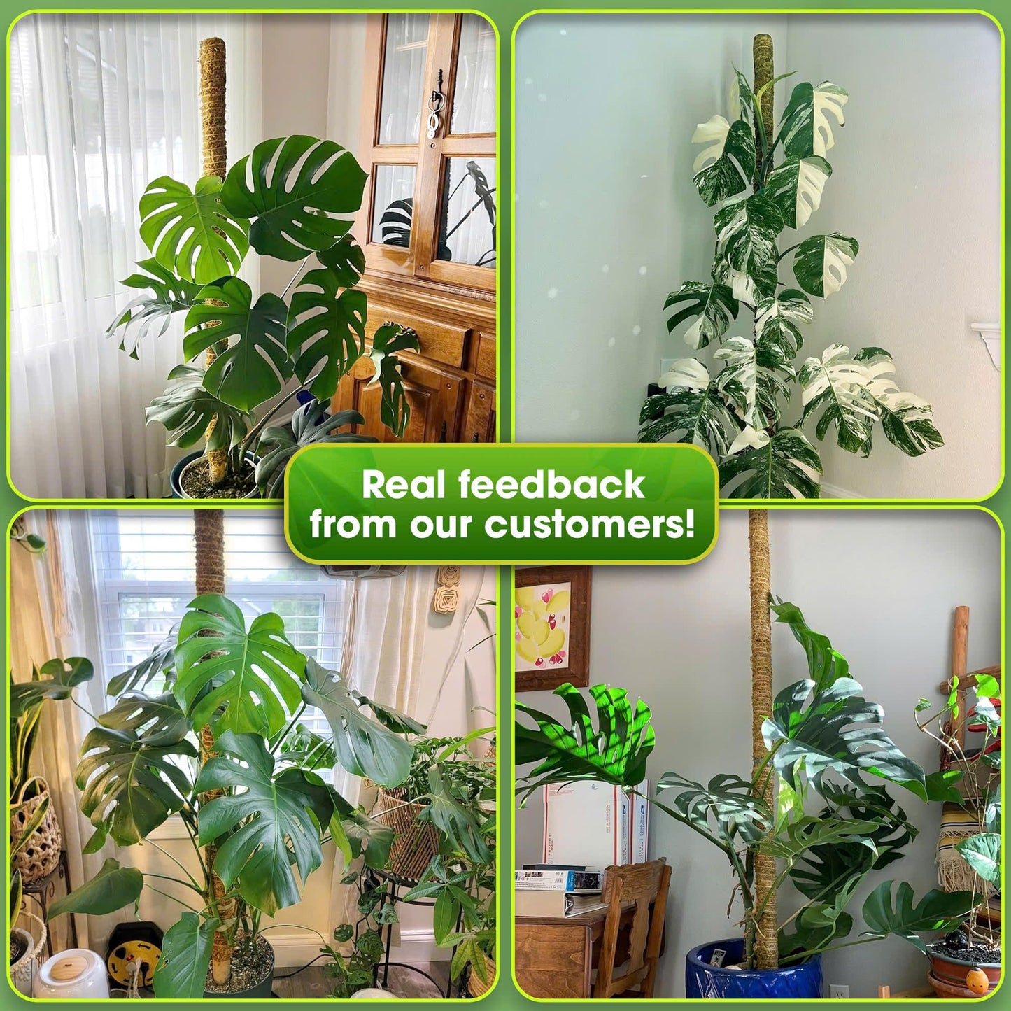 DUSPRO 59 Inches Non-Bendable Pole for Big Climbing Plants, Large Moss Pole for Monstera, Indoor Plant Stakes, Support (1pc., 59'')