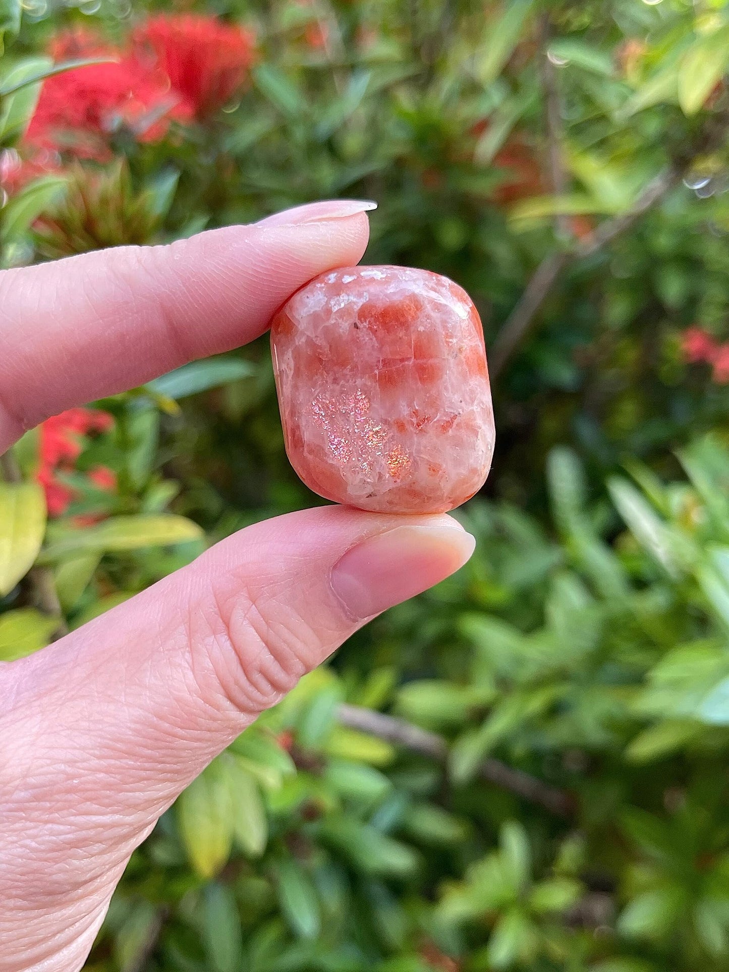 GAF TREASURES 5 Pcs Sunstone Tumbled Stones, Polished Sunstone Gemstone, Sunstone Healing Crystals (Sunstone)