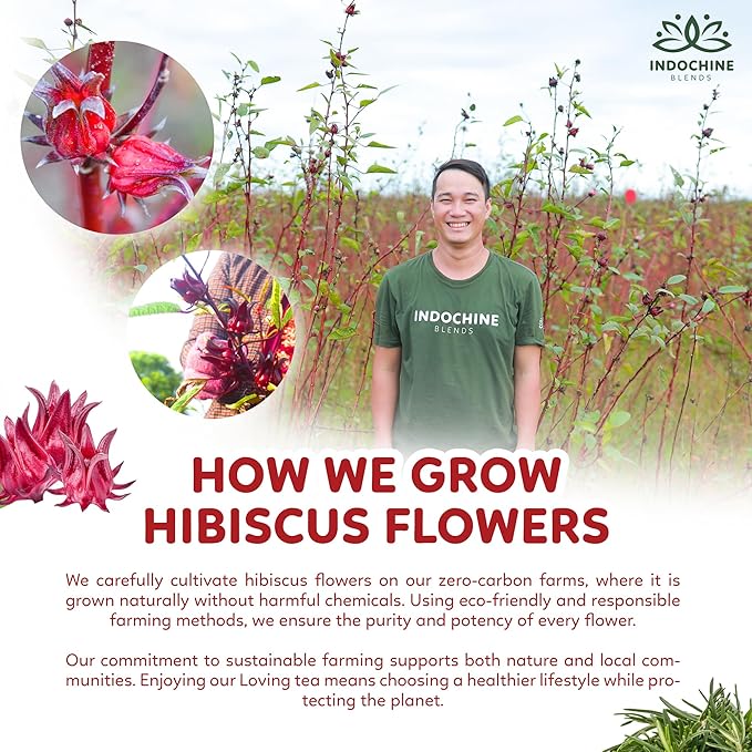 Indochine Blends Loving Tea | Hibiscus Tea Bags | Hibiscus & Organic Rosemary, Black Tea, Rose | Sugar-Free, Caffeine-Free Herbal Tea for Relaxation | 4.4 oz | 50 Corn-Fiber Pyramid Bags