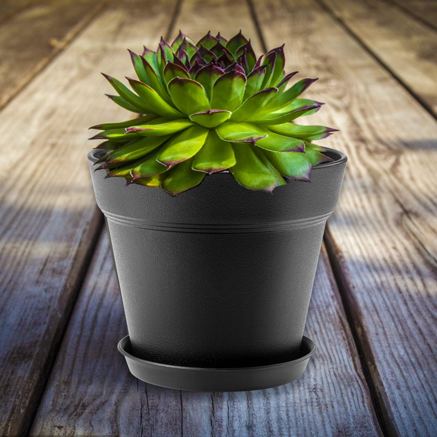 FHWTY 16 Pack Plastic Plant Pots with Drainage Holes and Tray, 4 inch Thickened Indoor Planters Seedlings Nursery Pots for Flowers, African Violet, Succulent and All House Plants, Black