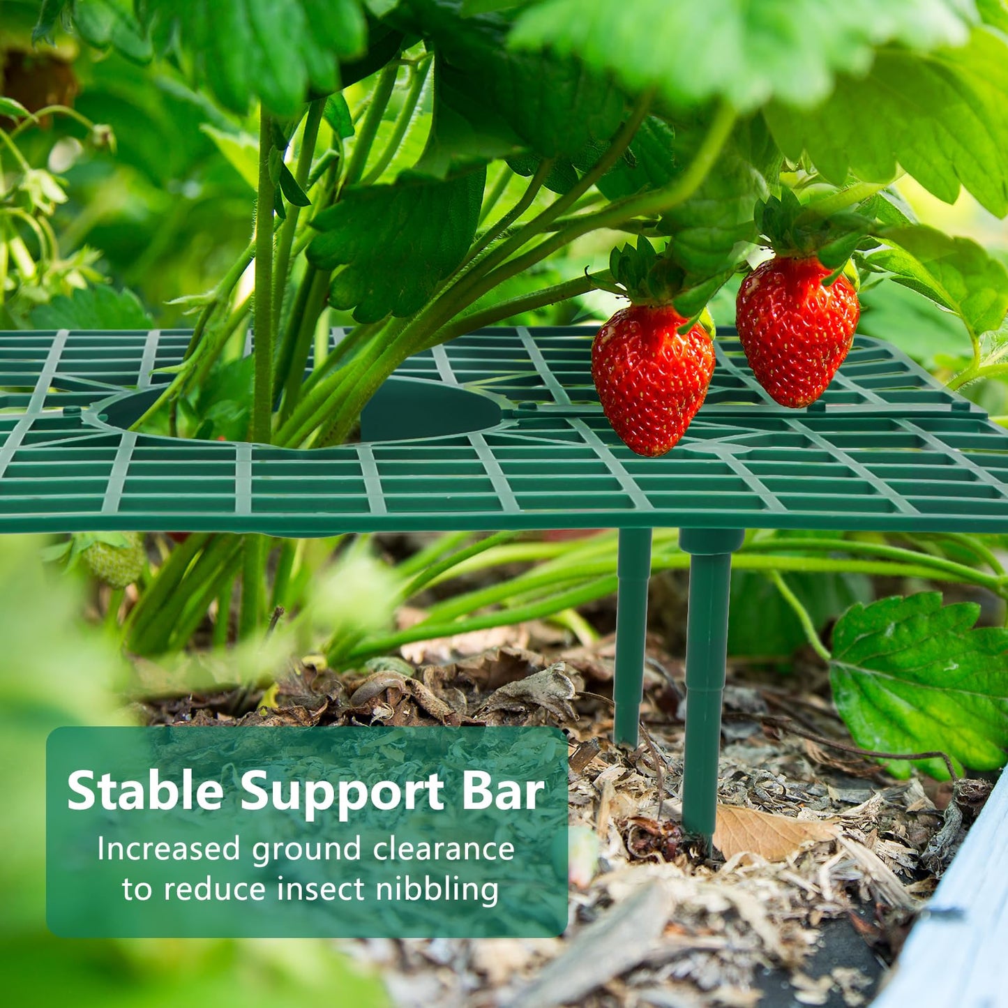 GOONMILL 10 Pack Strawberry Plant Support, Strawberry Planting Stand, Keeping Strawberry Plants Clean, Strawberry Growing Racks, Strawberry Growing Frame