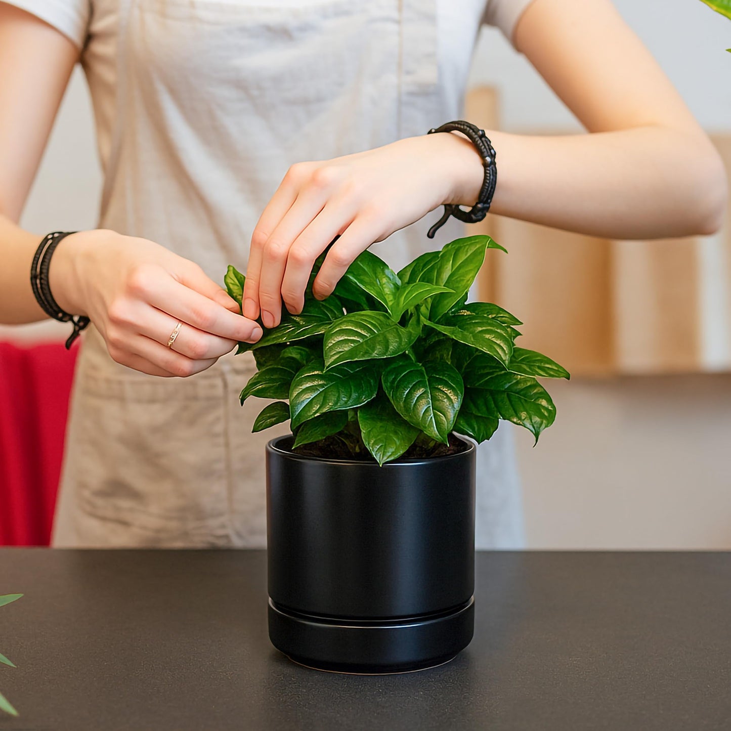 D'vine Dev 4.7 Inch & 6.5 Inch Ceramic Planter Pots for Plants with Drainage Hole and Saucer, Small Plant Pots Set, Black, 94-G-S-2