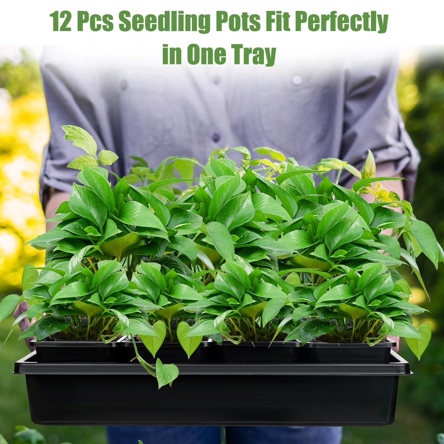 mwellewm 5 Pcs Seed Starter Tray, 3.5 Inch (9CM) 60 Pcs Nursery Pots Kit, Thickened Seed Starting Trays Square Seedling Pots for Plants Sturdy Microgreens Growing Trays Reusable Germination Tray