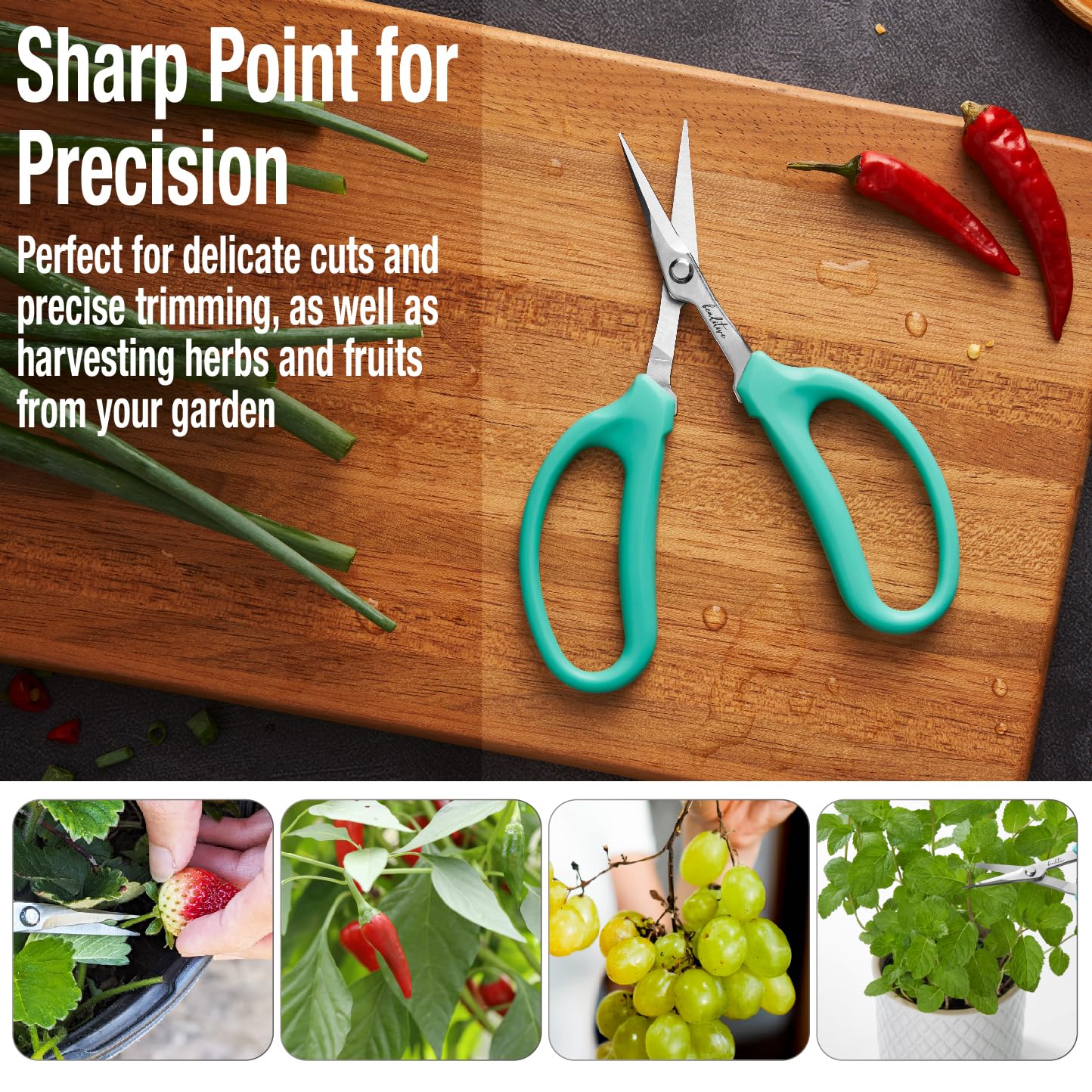 Beaditive Culinary Herb Scissors - Compact 6.5-Inch Stainless Steel Kitchen Scissors - Dishwasher Safe - Sharp Tip for Snipping Fresh Herbs