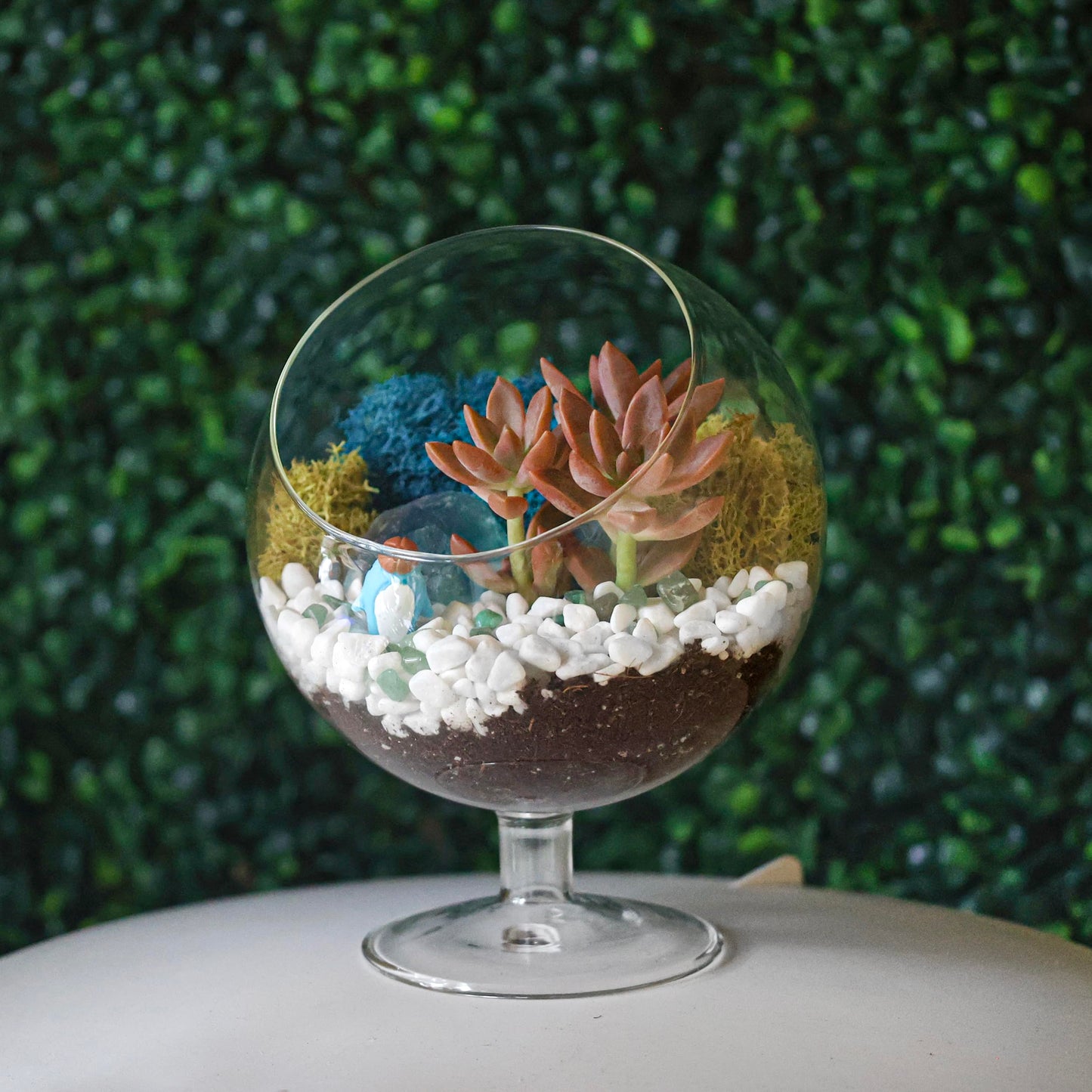 Creations by Nathalie DIY 6" DIY Chalice Terrarium Kit - Build Your Own Glass Terrarium for Adults & Teens with Moss, Crystals, Tools & Decorative Figurine - Mini Ecosystem (Plant Not Included)