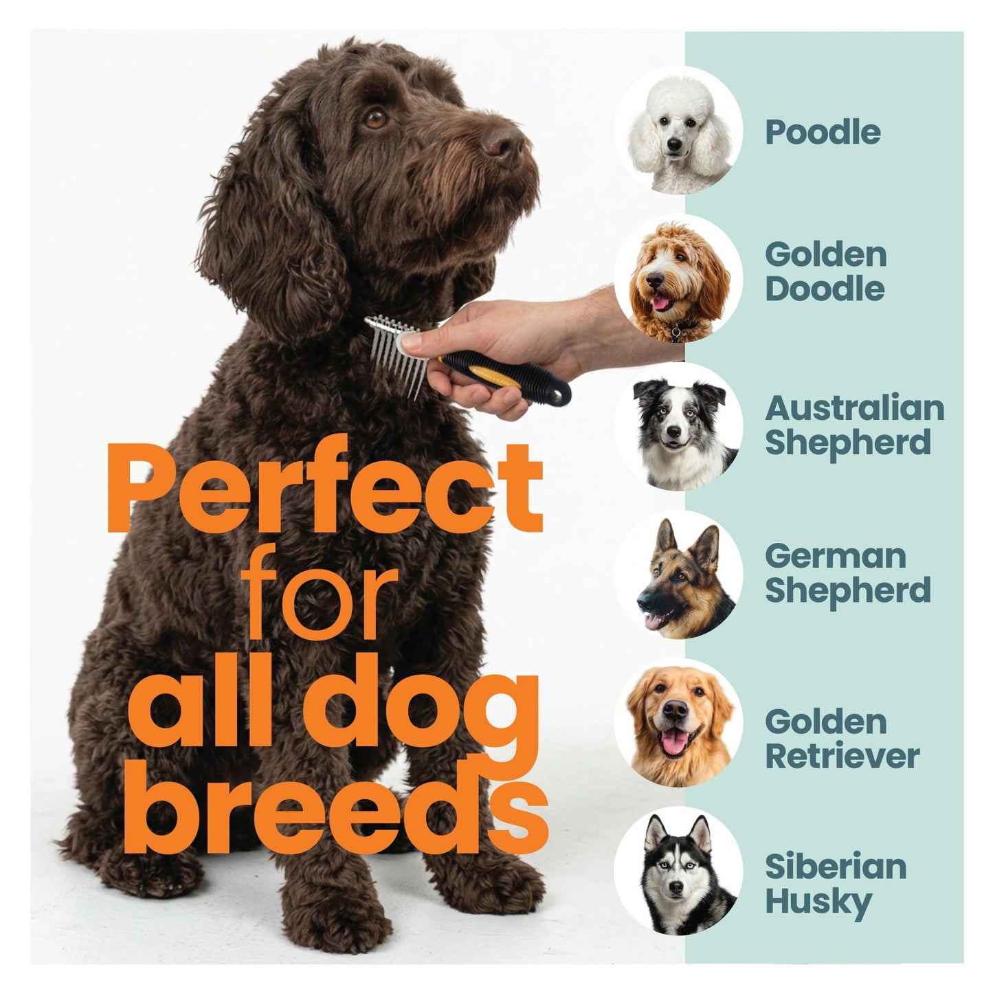 Rake Brush for Dogs, Dematting Tool for Goldendoodles, Poodles & Doodles – Rescue Essential with Long Smooth-Edged Teeth for Thick Coats, Deshedding & Mat Remover – Skip the Groomer