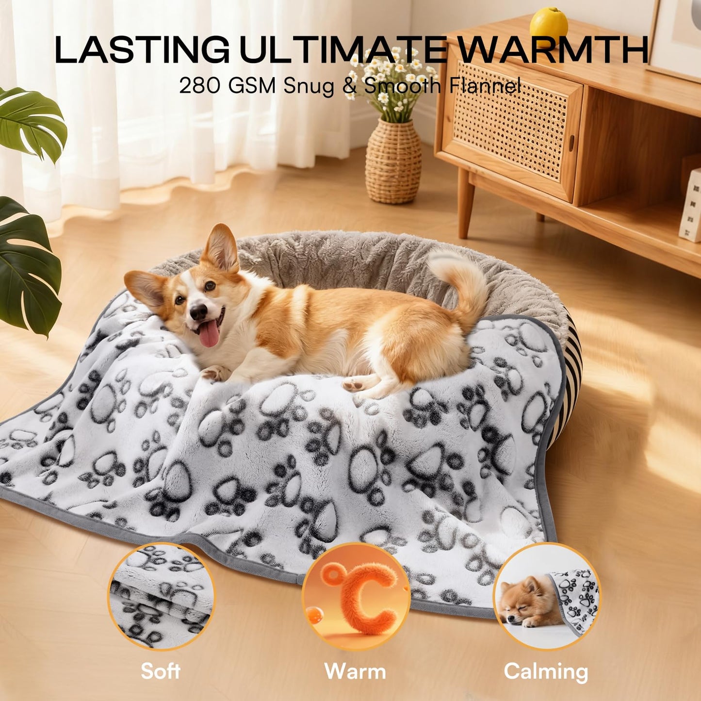 Luciphia 1 Pack 6 Dog Blankets Cat Soft Fluffy Fleece Pet Blanket Warm Cute Print Design Puppy Kitten Doggy Paw Grey Medium(30"x20")