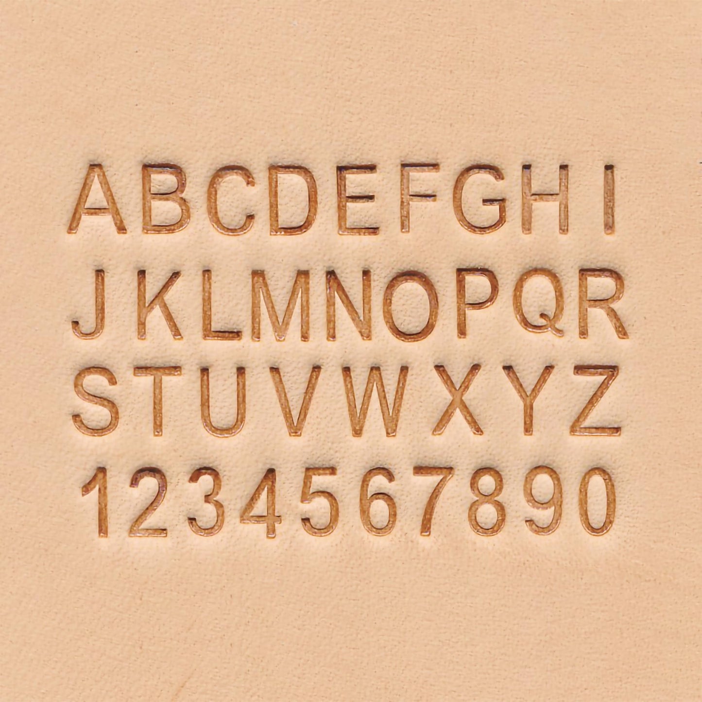 Realeather T8137 Leather Stamps Tool Set for Leather Crafting, Alphabet and Number, 1/4", Chrome, 36-Stamp Heads