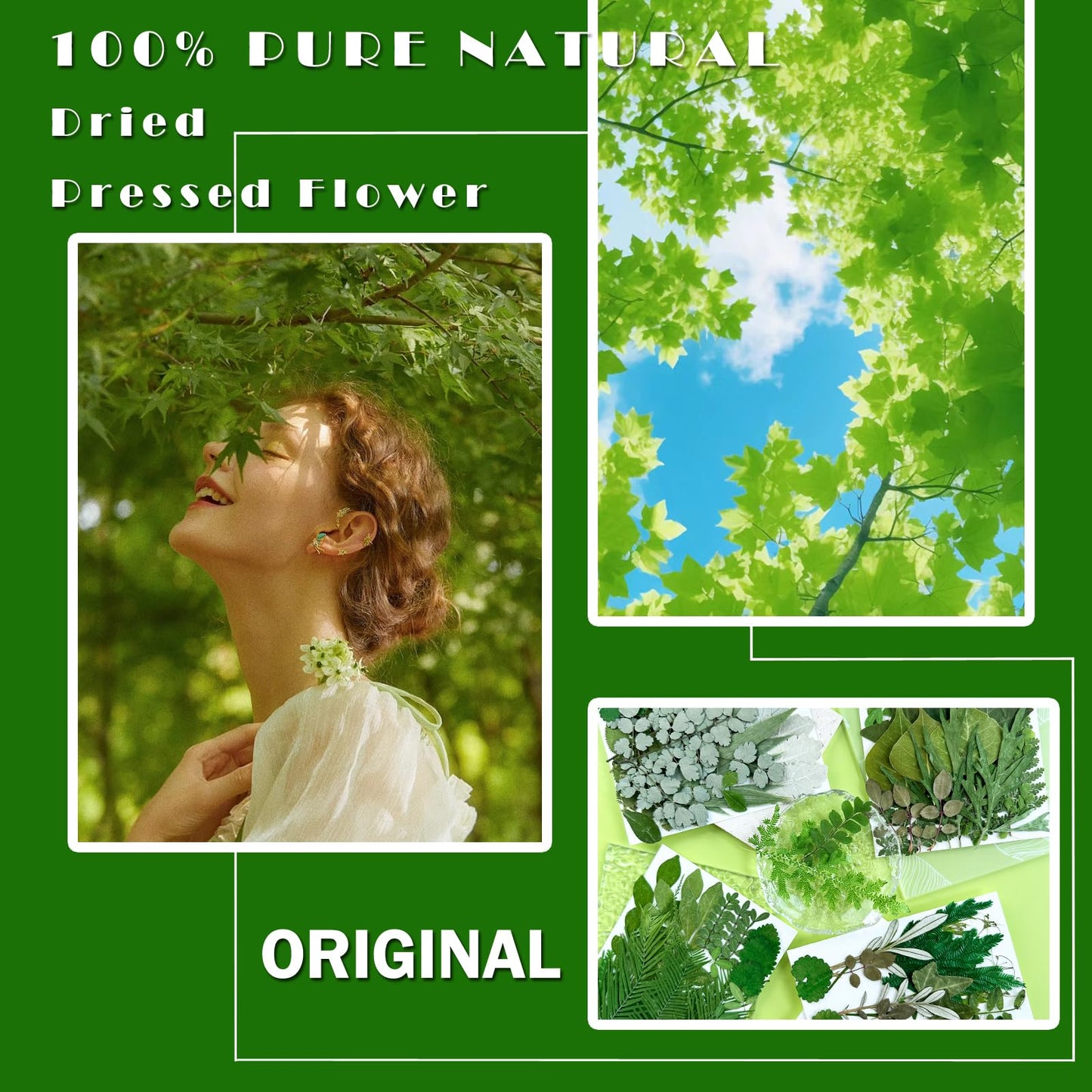 MIKIYA 84Pcs Pressed Dried Leaves for Resin Molds, Assorted Real Natural Bulk Dry Flowers for DIY Art Crafts, Epoxy Jewelry, Candle, Soap Making, Nails Decors Gifts