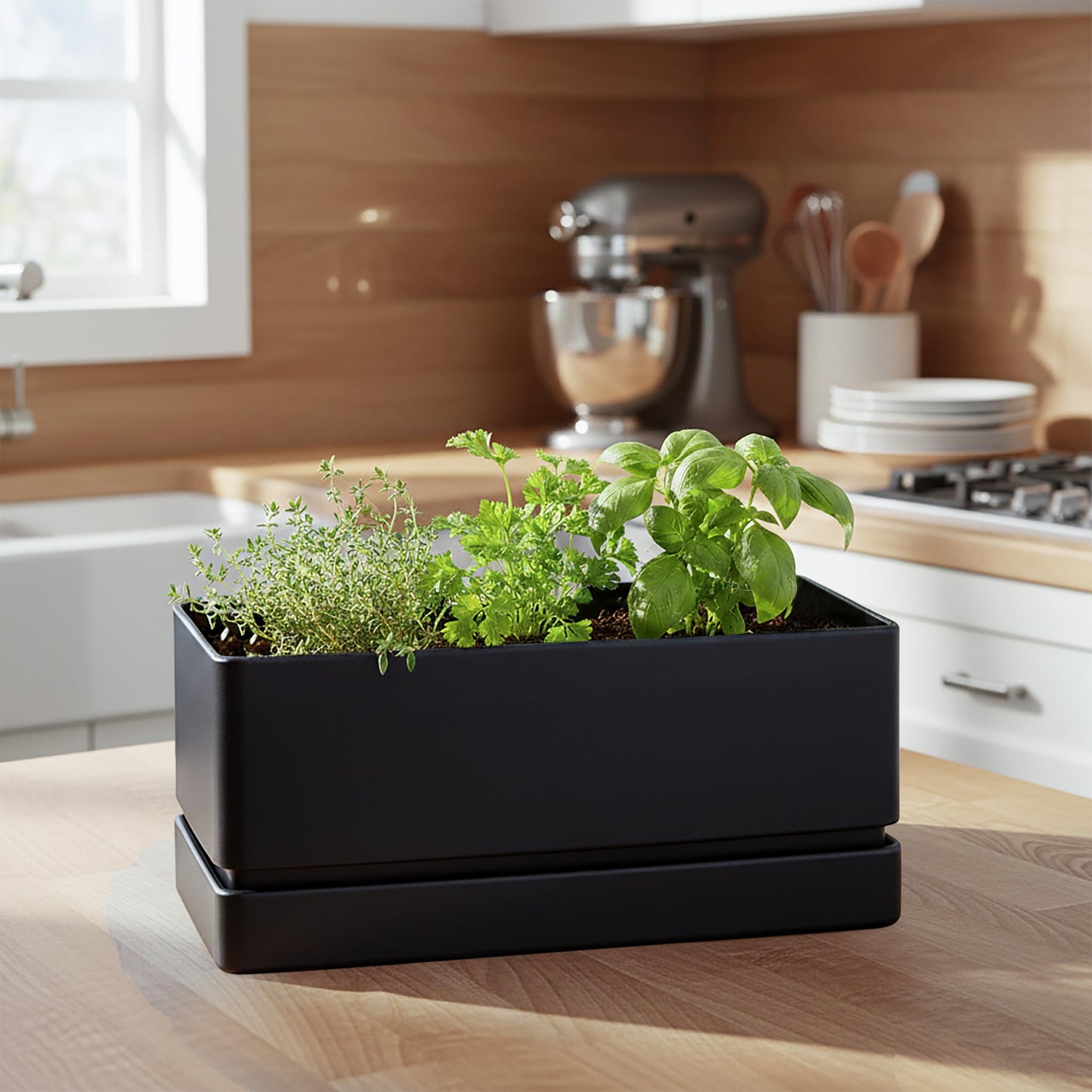 D'vine Dev 12" x 6.5" Window Box Planter, Rectangular Plastic Herb Planter with Drainage Holes & Saucer, Succulent, Cactus & Vegetable Pot for Windowsills/Balconies, Black, Set of 2, 76-P-B-2