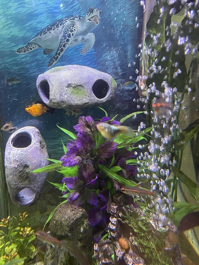 OrnaMounts Aquarium Decor Magnetic Rock Cave Ornament – Wall-Mounted Fish Tank Accessory