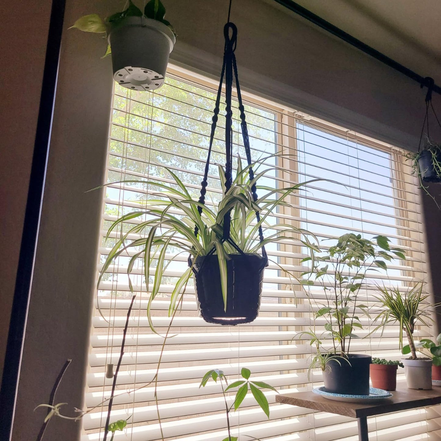 AKEIE Macrame Plant Hanger 3 Pack Indoor & Outdoor Wall Hanging Planter + 3 Hooks Hanging Planters Basket Cotton Rope 35 Inch with Beaded and Non-Tassel Planter Durable(Black)