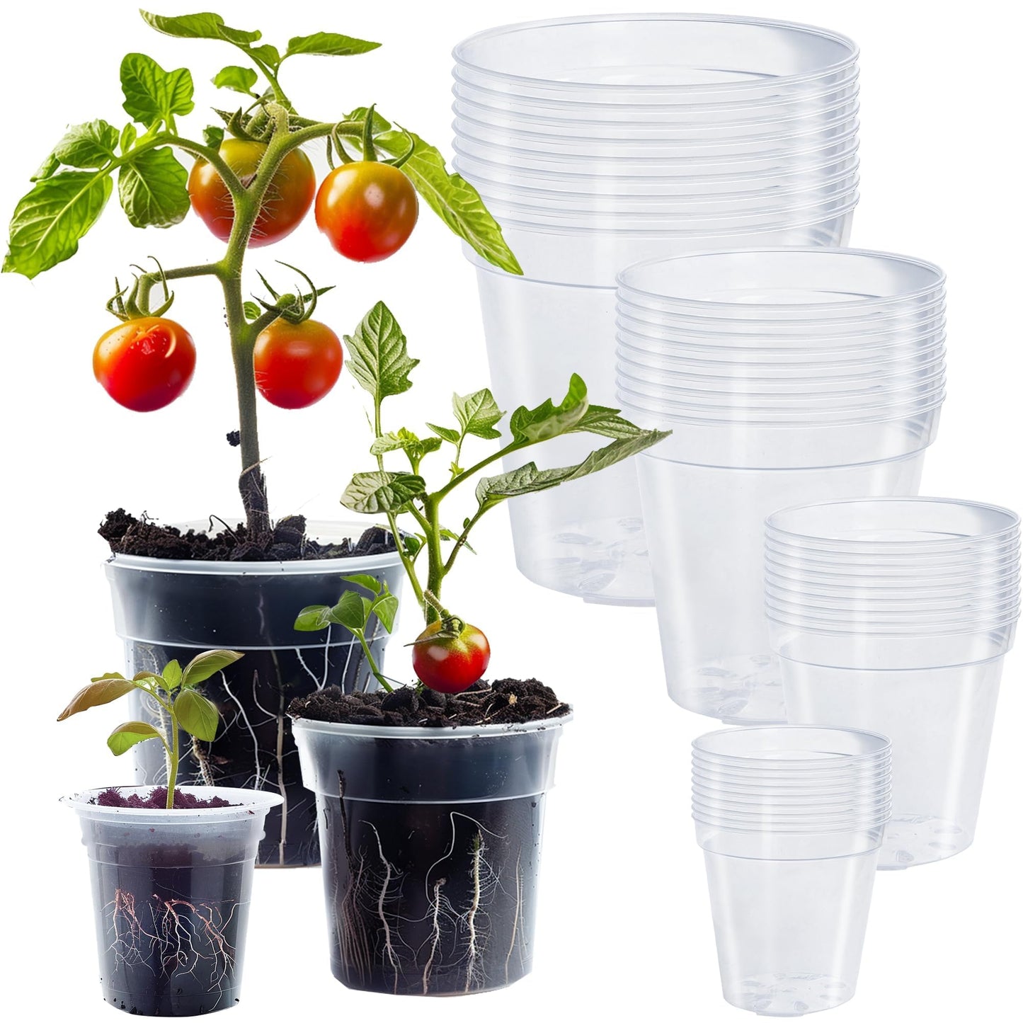 Hourleey 36 Pack 4/5/6/7 Inch Clear Nursery Pots for Plants, Plant Pots with Drainage Holes, Transparent Seedling Pots for Seed Starters Planter Flower
