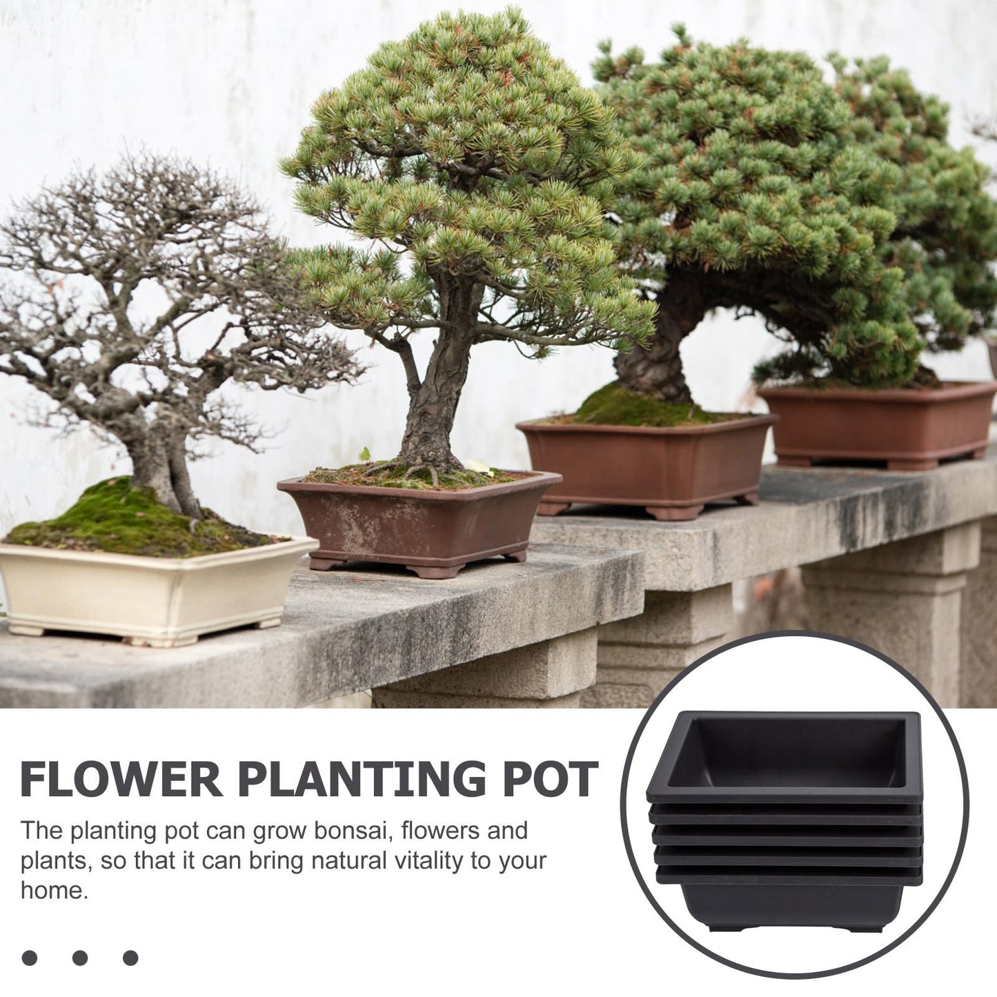 GANAZONO 5Pcs Plastic Bonsai Planters with Drainage Trays 6.49X4.72X2.36In Small Rectangular Flower Pots for Indoor Succulent Plant Growing and Gardening