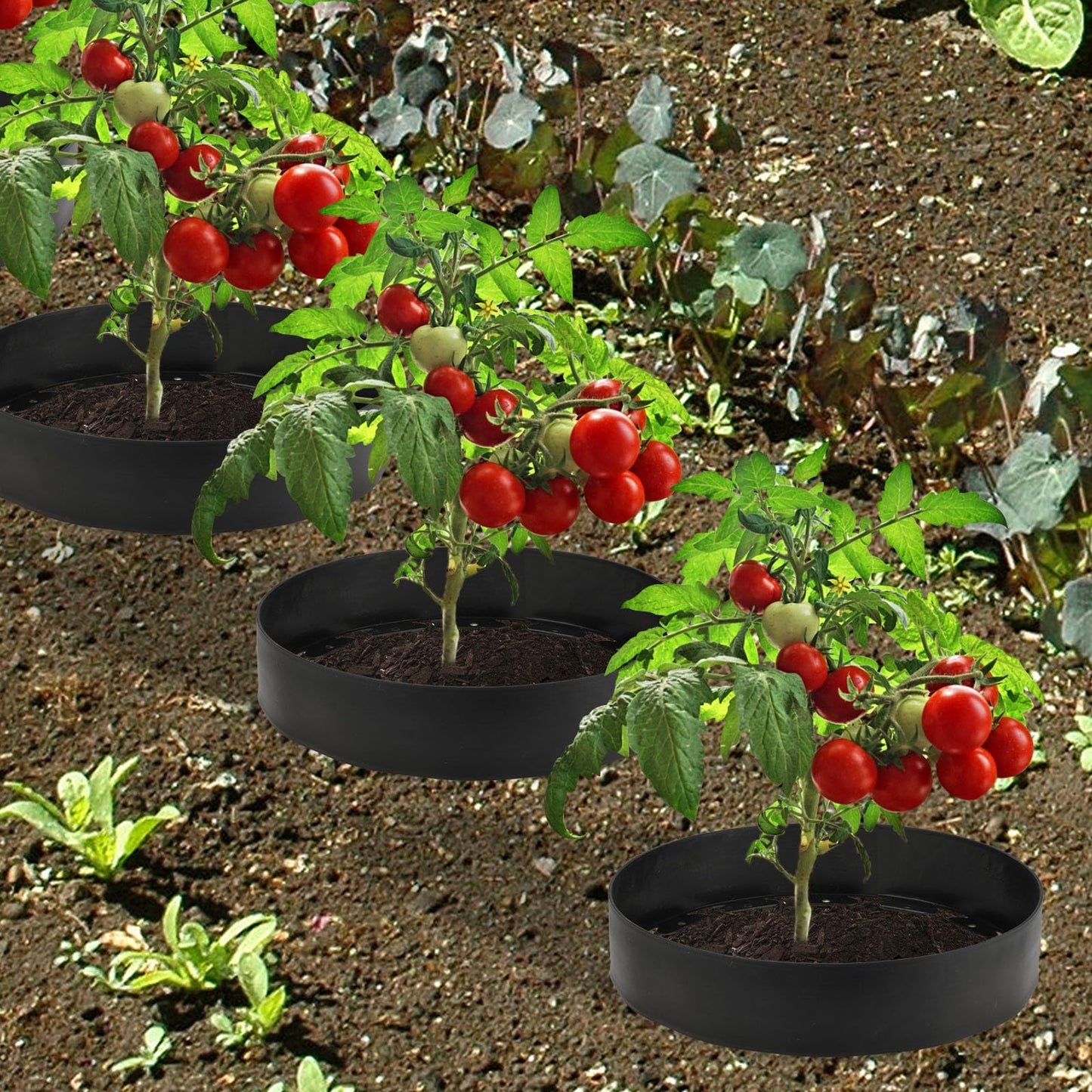 30 Ft Planting Grow Rings with 30 PCS Spikes Plant Rings for Outdoor Plants Planting Ring for Separate Rock and Maintain Moisture (30)