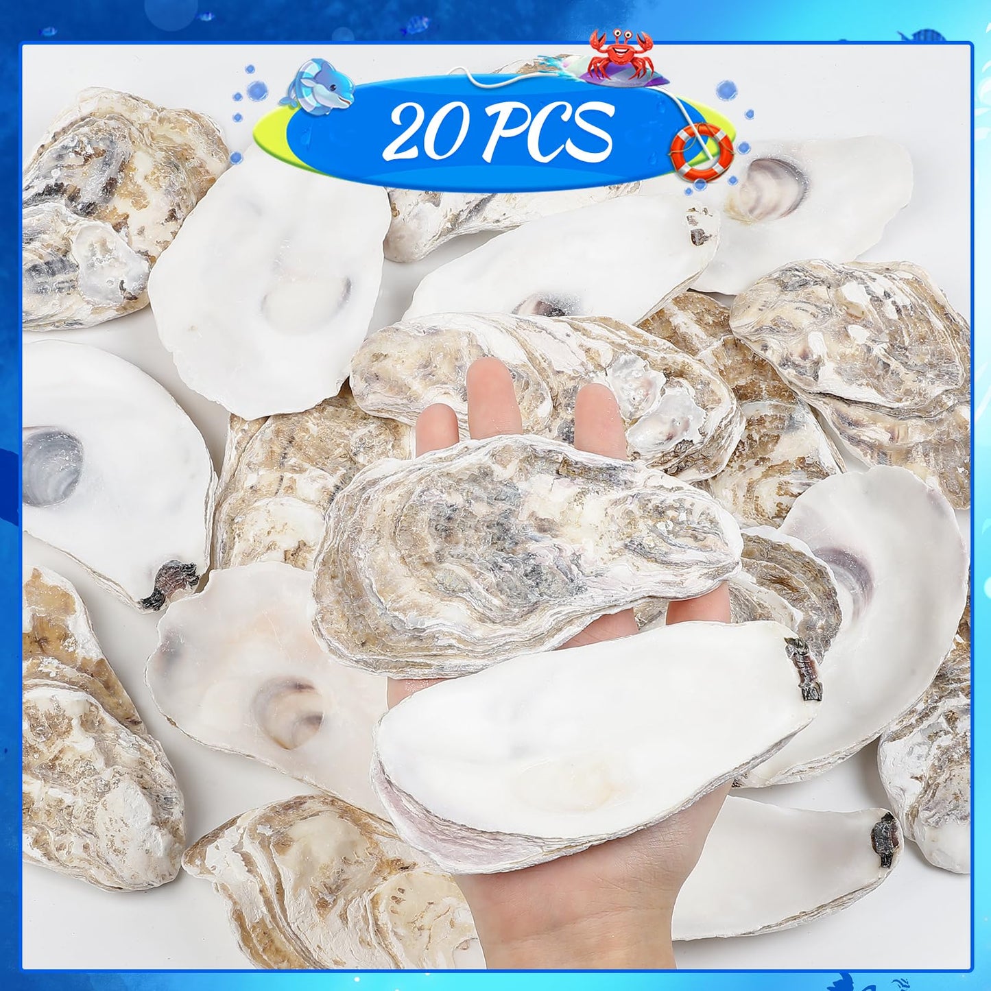 TaoQ C 20 PCS Oyster Shells 4"-5" Large Oyster Shells Natural Seashells for Crafts Beach Theme Party Fish Tank and Vase Filler Home Decoration