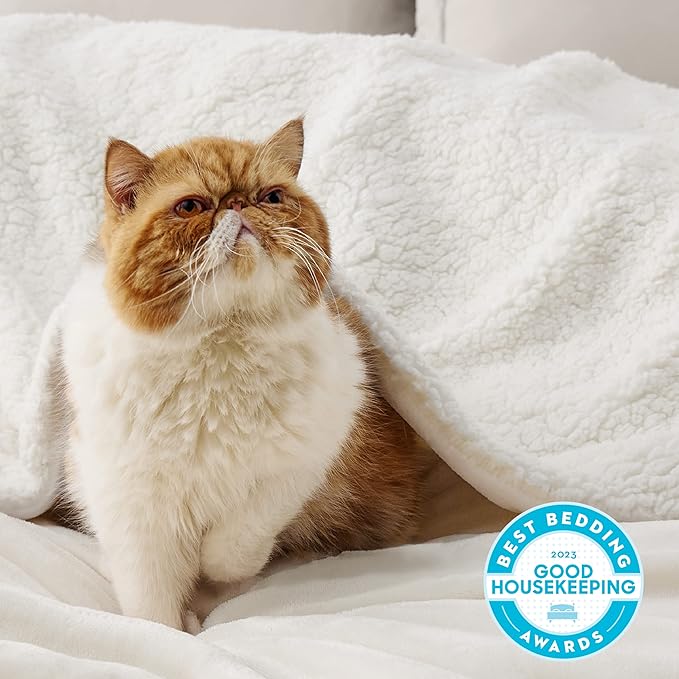 Bedsure Sherpa Fleece Blankets Queen Size for Bed - Thick and Warm, Soft Fuzzy Plush Queen Blanket for Winter, Cream, 90x90 Inches