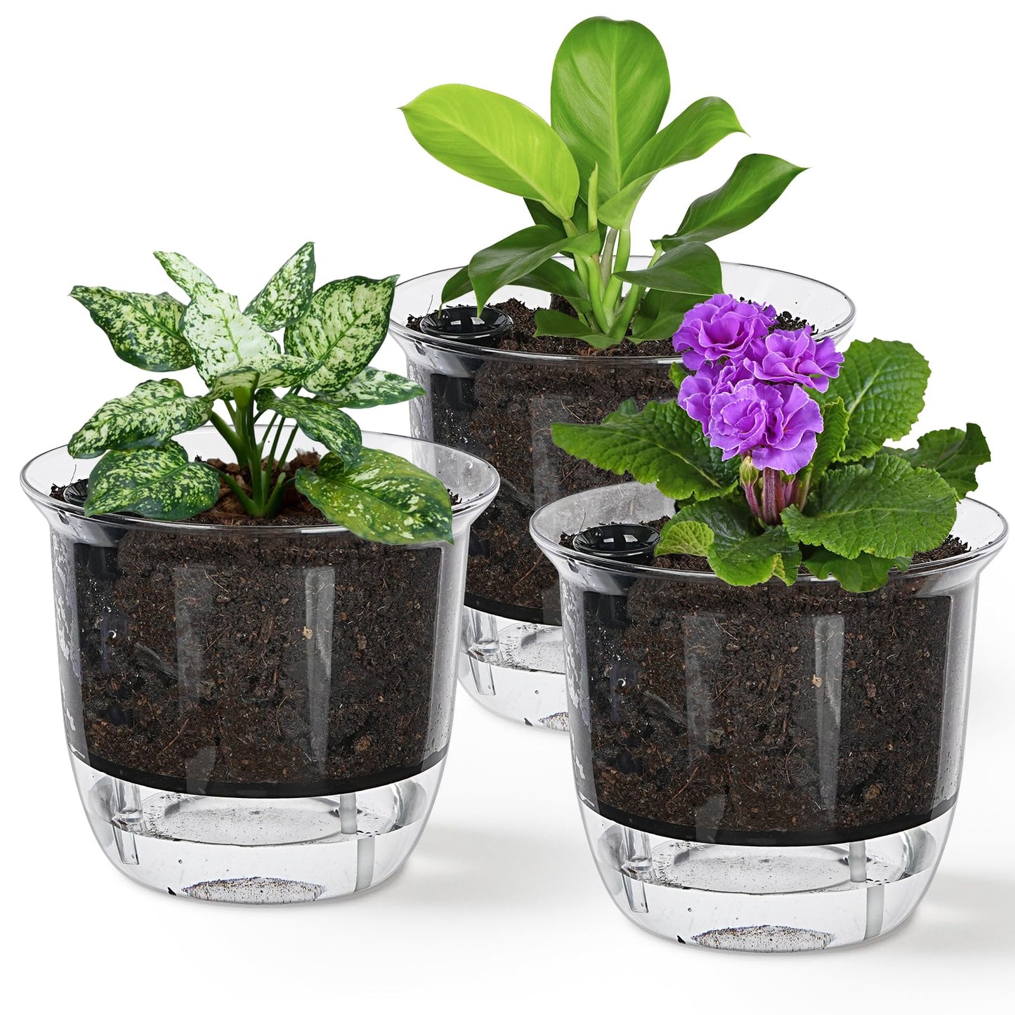 IWNTWY Self Watering Pots, 3 Pack 5 Inch Clear Plant Pot Self Watering Planter Flowers Pot with Deep Reservoir for Indoor Plants (3 Medium)