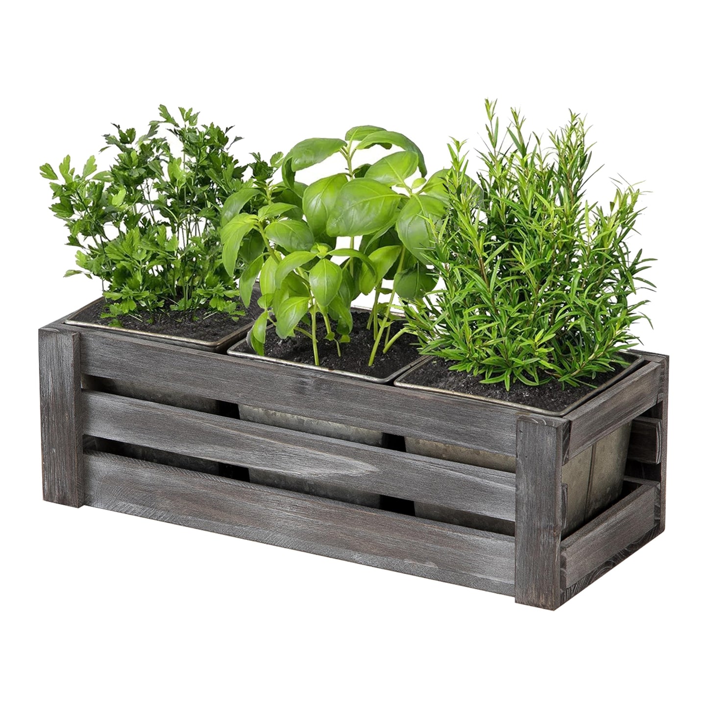 SOFE Rustic Wood Planer Box with 3 Galvanized Planter Pot, Indoor Windowsill Herb Garden Organizer, Plant Containers for Flower Succulent, Distressed Gray Finish