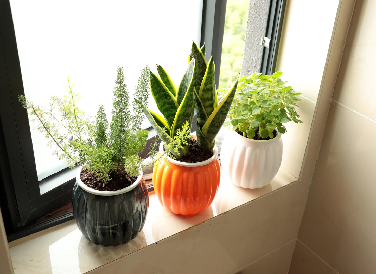 Cornasee 4" Pumpkin Planter Self Watering Pot, 4-Pack Small Plastic Planters for Indoor Plants,Flowers,Succulent,African Violets (Black, 4")