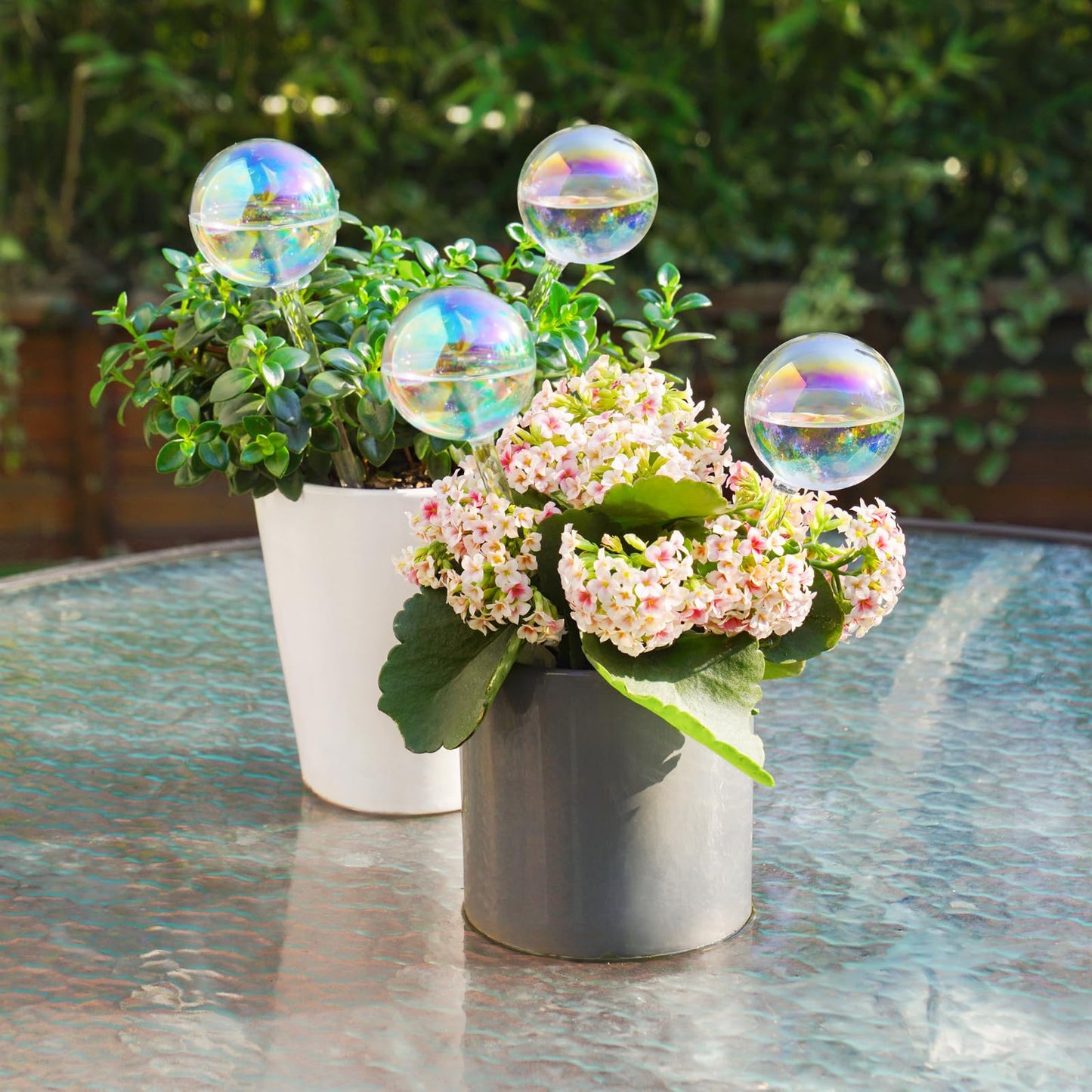 Tomorotec [4 PCS] Light Iridescent Rainbow Gradient Color Clear Glass Self-Watering System Spikes, Automatic Plant Waterer Bulbs
