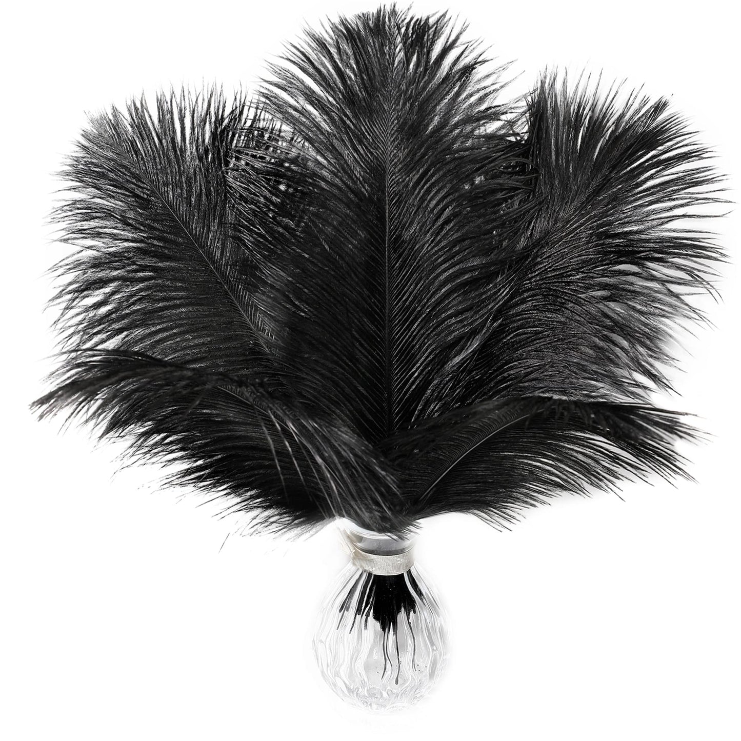 Soarer Black Ostrich Feathers Bulk - 15pcs 10-12 inches for Wedding Party Centerpieces, Home Decorations and DIY Crafts(Black)