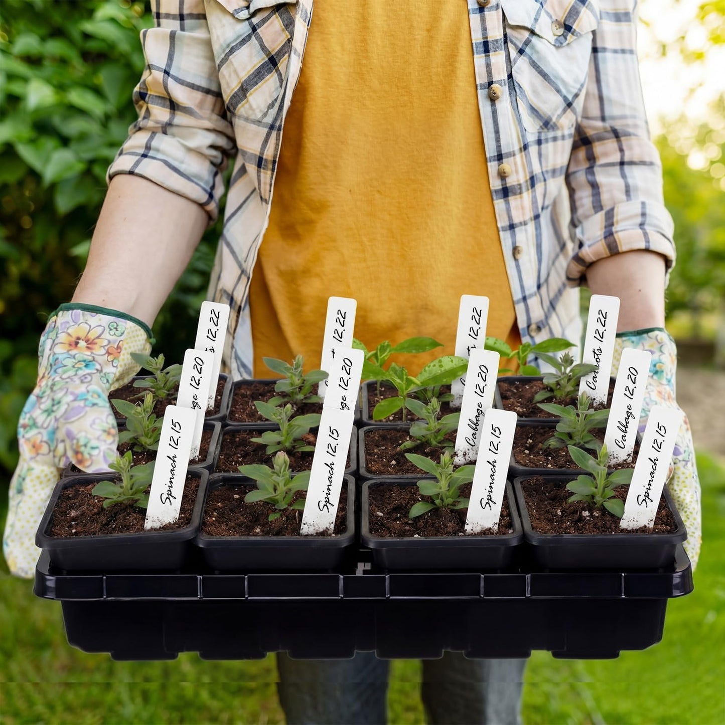 Nuenen Seed Starter Tray 6 Pcs, 3.5 Inch Square Nursery Pots 72 Pcs, Seed Starting Pot with Drainage, Seedling Trays, Microgreenings Plant Propagation Germination Tray, 6 Set