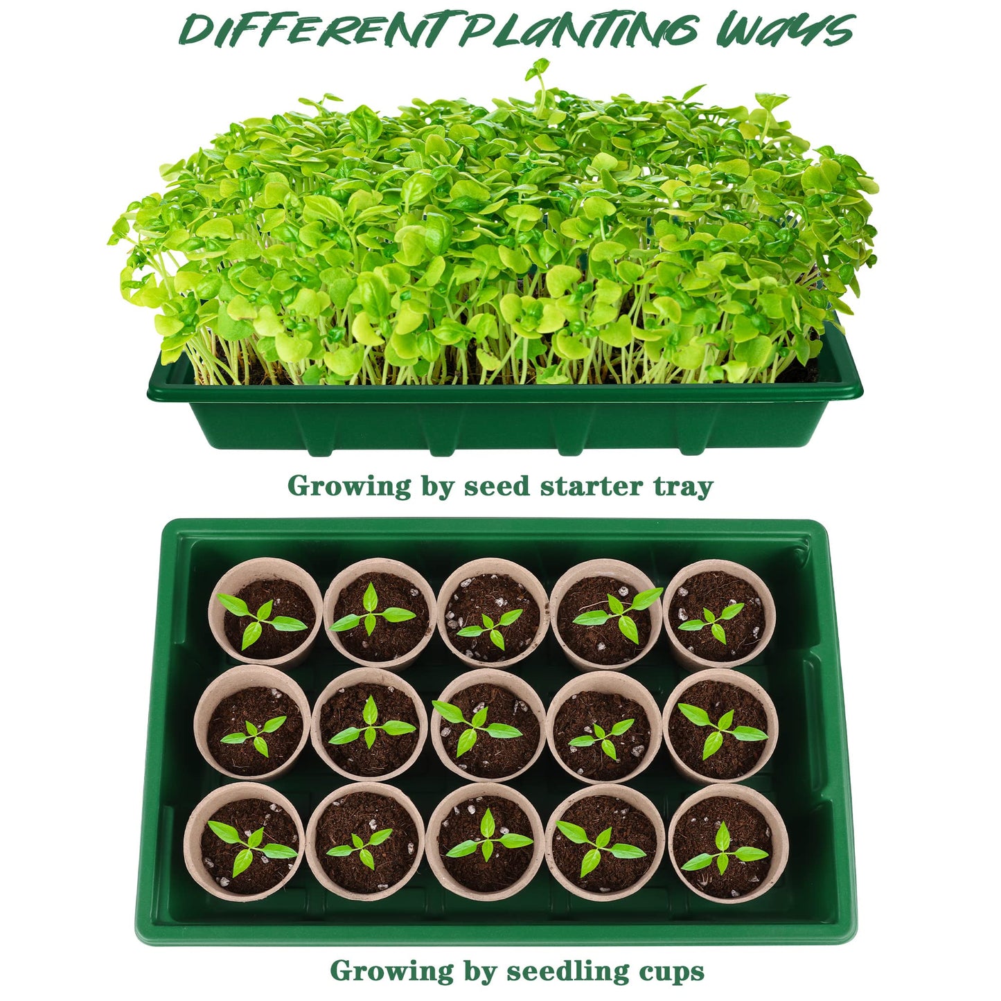 Hahood 4 Pack Seed Starter Tray Set Plants Growing Trays Peat Pots for Seedlings with Seed Starter Pots, Plastic Germination Tray, Plant Labels, Tool for Flower Vegetable Planting, Green