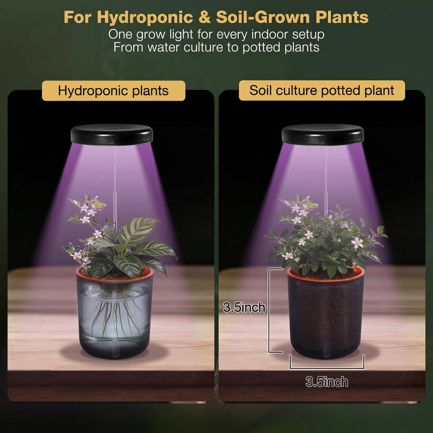 Raygrov Self-Watering Planter with Grow Light — Cute Desk Plant Pot for Office, Bedroom & Window — No Green Thumb Needed, 2-in-1 Wall + Desktop, USB Powered (5W LED, White)