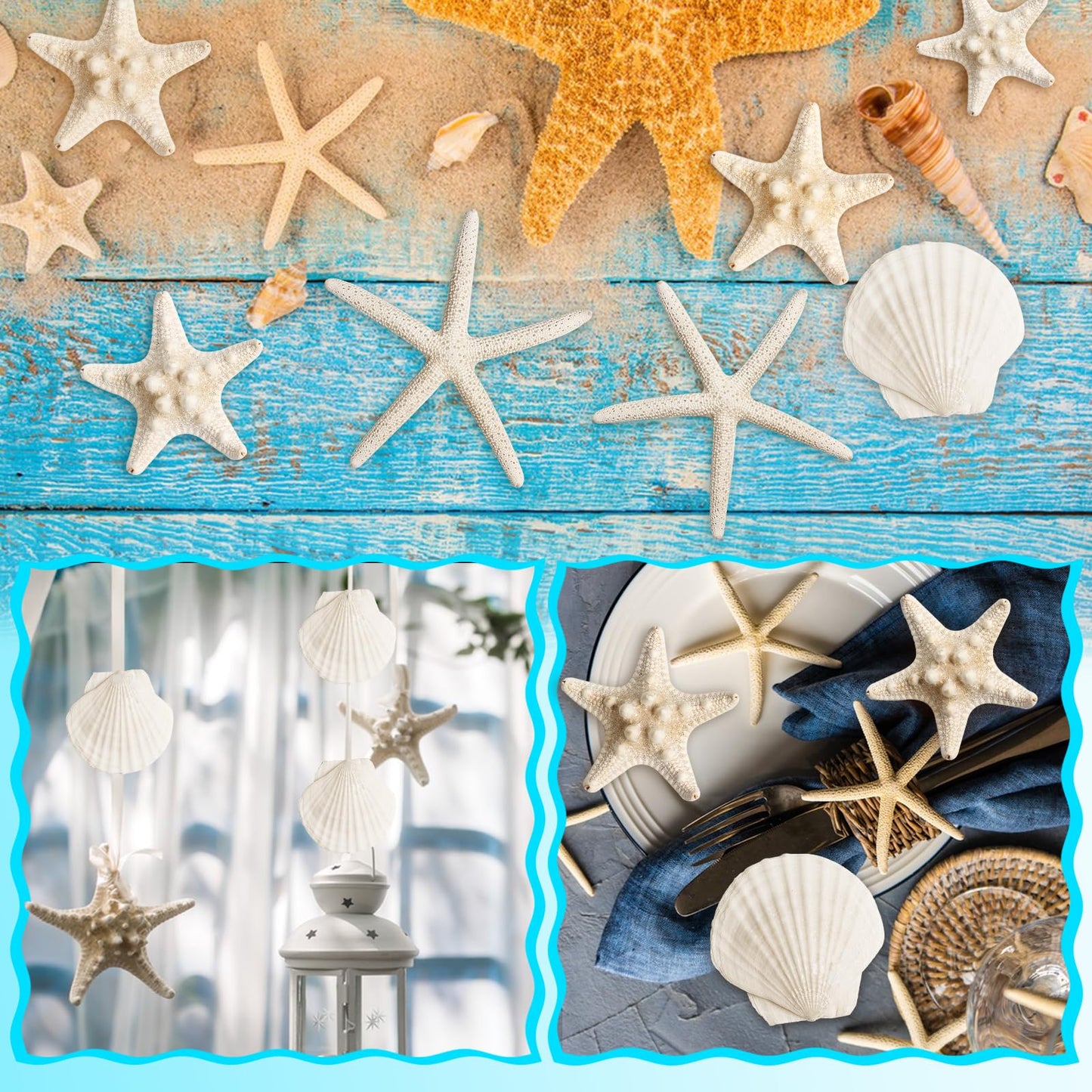 HAPYSHOOP 16 Pieces Starfish and Scallop Shells for Crafts 2.6"-3.8" Large Seashells Natural Sea Shells for Crafts Christmas Decor Beach Party Wedding Fishtank