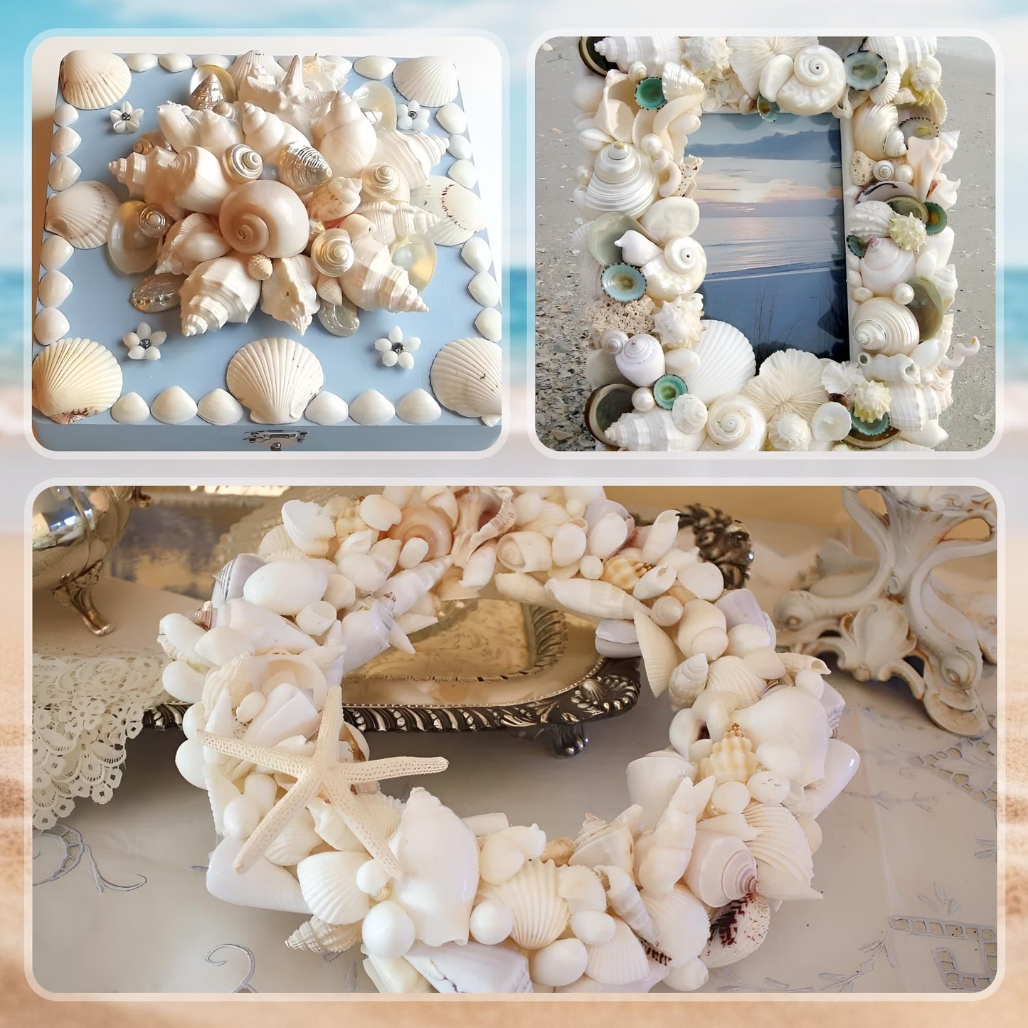 WeDoSoy Silver White Sea Shell Mixed Ocean Shells Set, 1.2"-2.6" Various Sizes Natural Seashell & Starfish for Beach Themed Decor, DIY Crafts, Vase Fillers, Fish Tank, Home, Wedding & Party Decoration