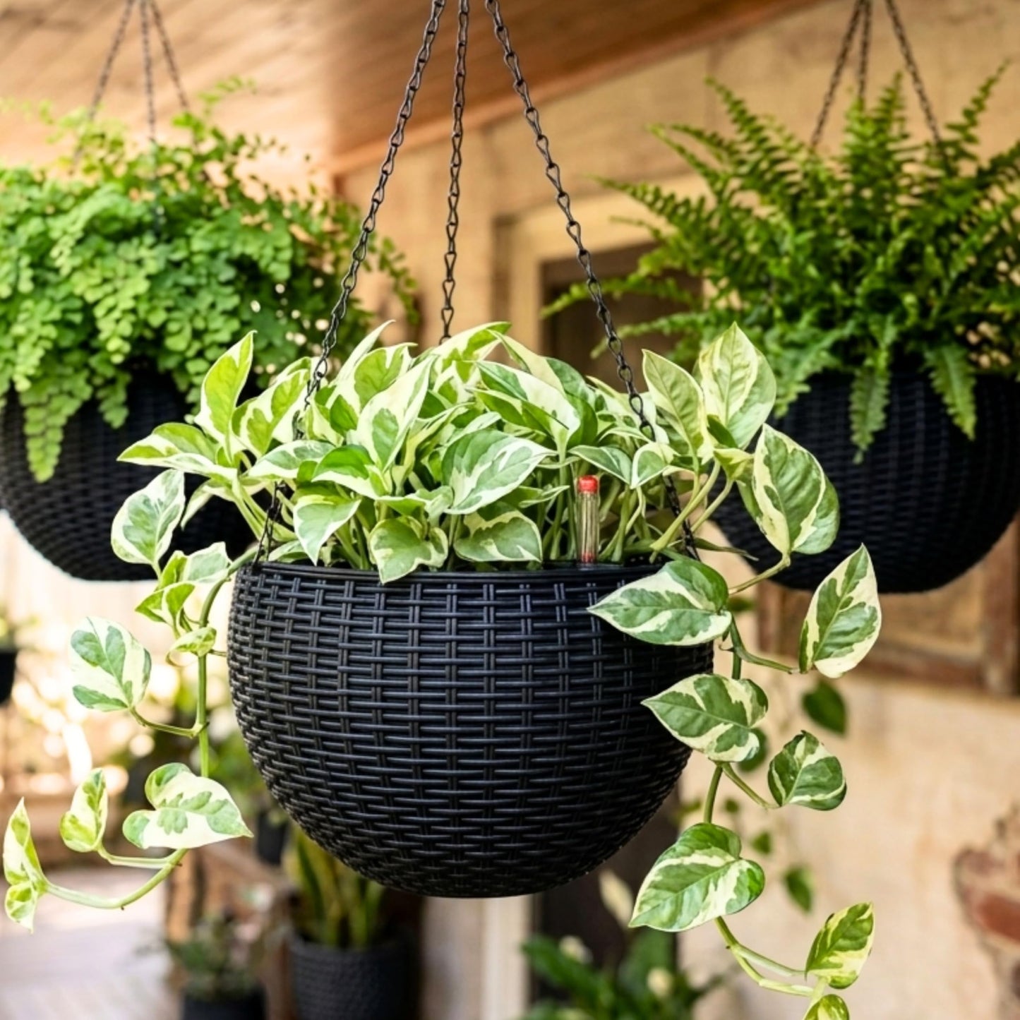 LaLaGreen Hanging Planters for Indoor Plants (11 Inch, 4 Pack) Self-Watering Round Rattan Style Flower Pots with Water Level Indicator, Black Metal Chain Hanging Baskets for Porch Garden Balcony Decor