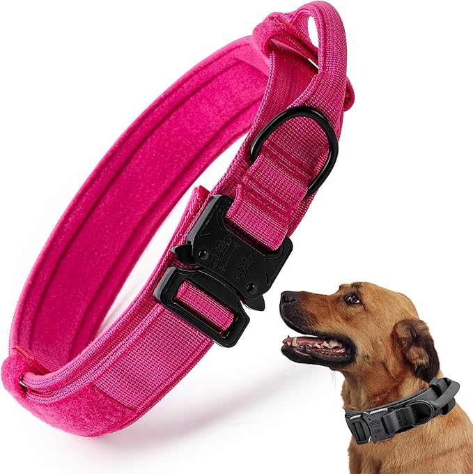 Tactical Dog Collar, Adjustable Military Training Collars, Emerald Green M